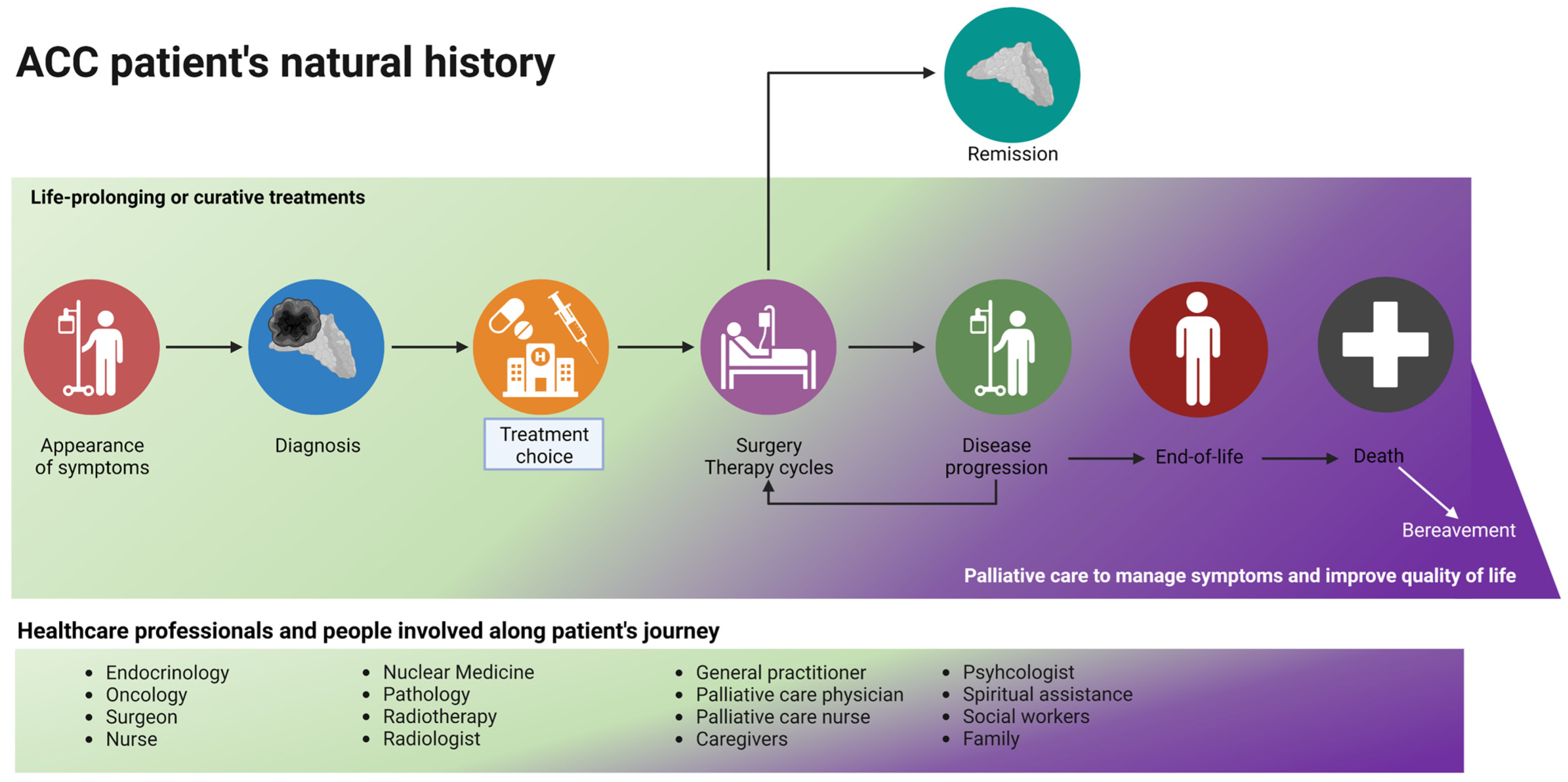 Cancers 14 05901 g003