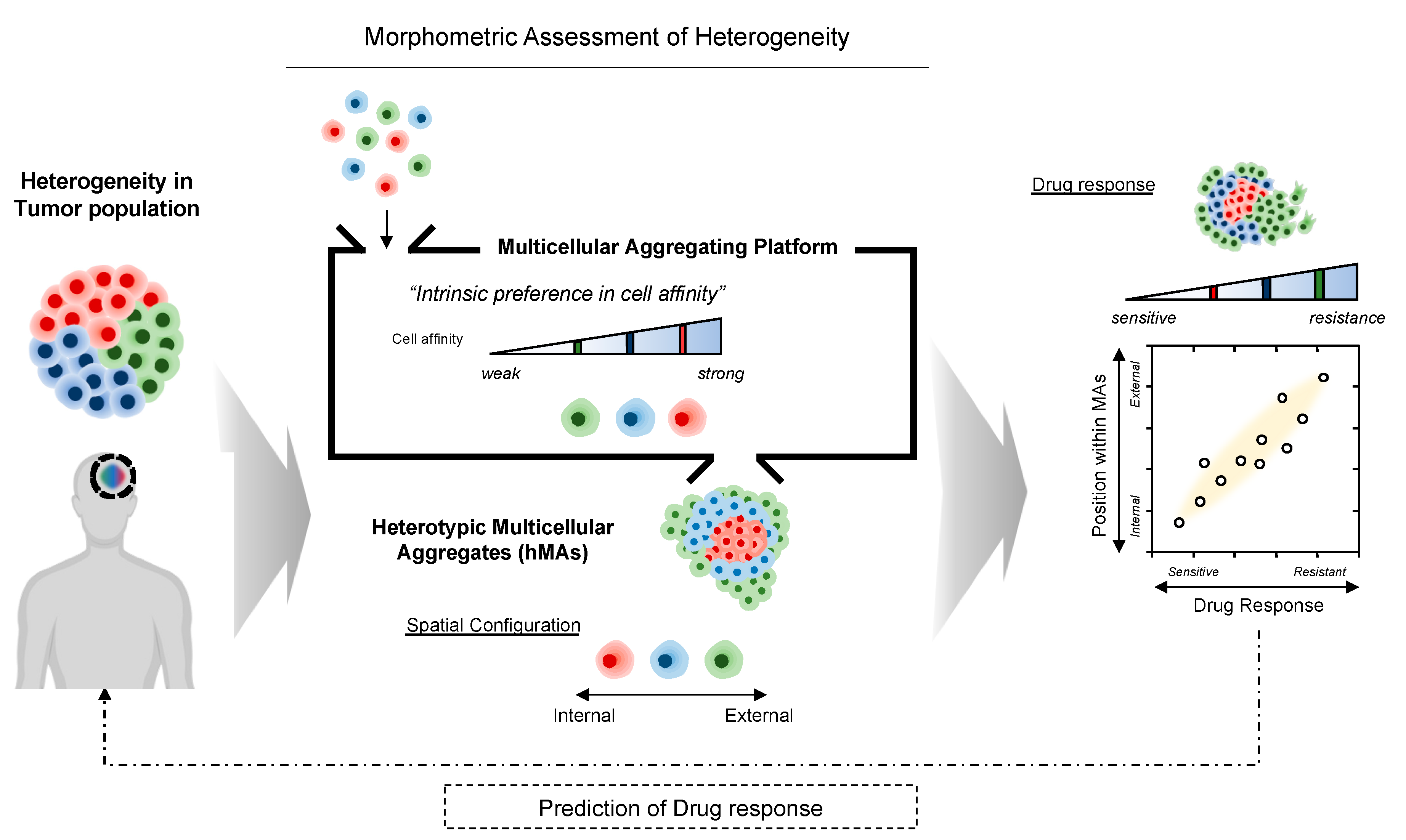 Cancers 14 05910 g001 Cancers 14 05910 g001