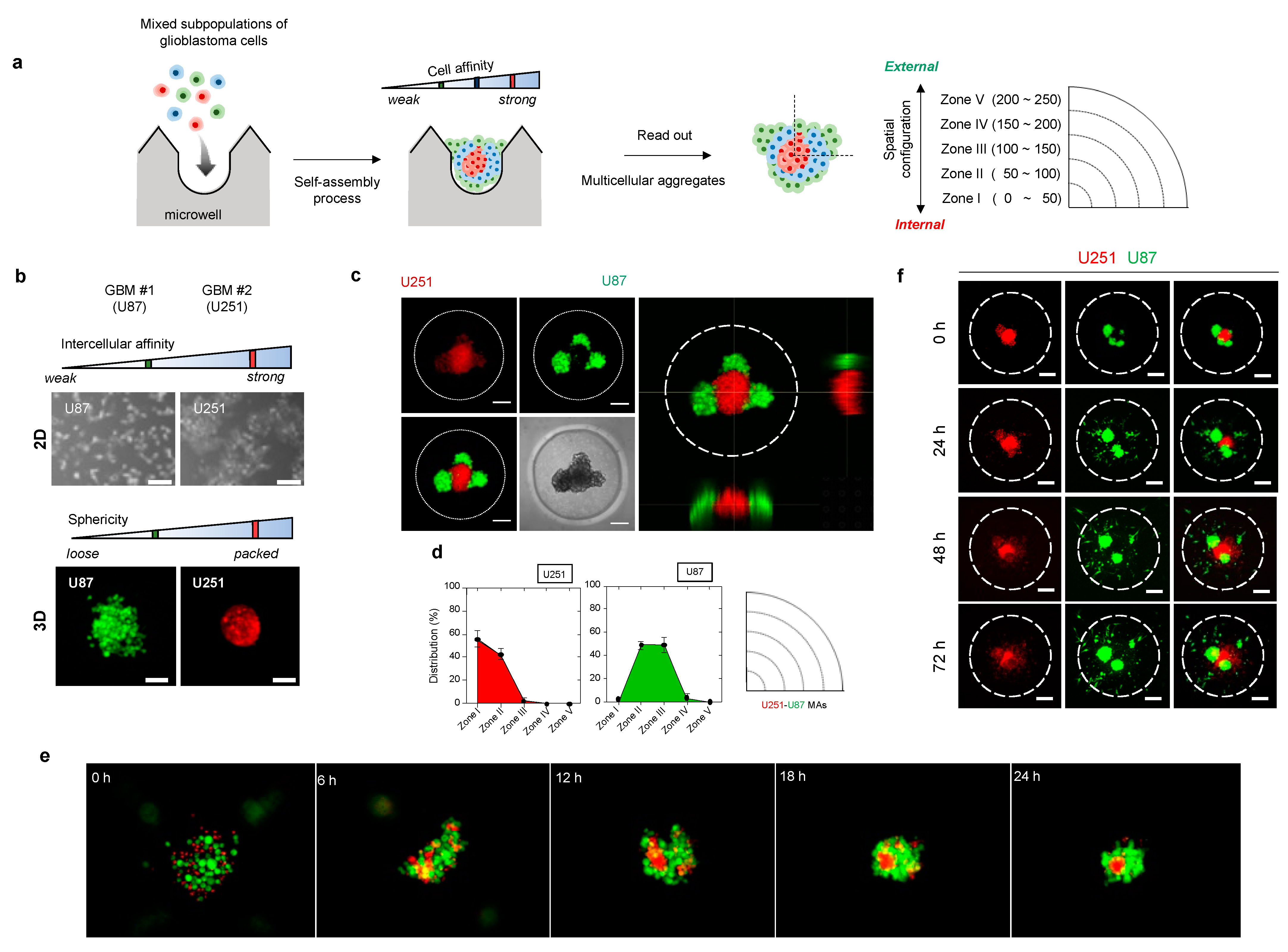 Cancers 14 05910 g002 Cancers 14 05910 g002