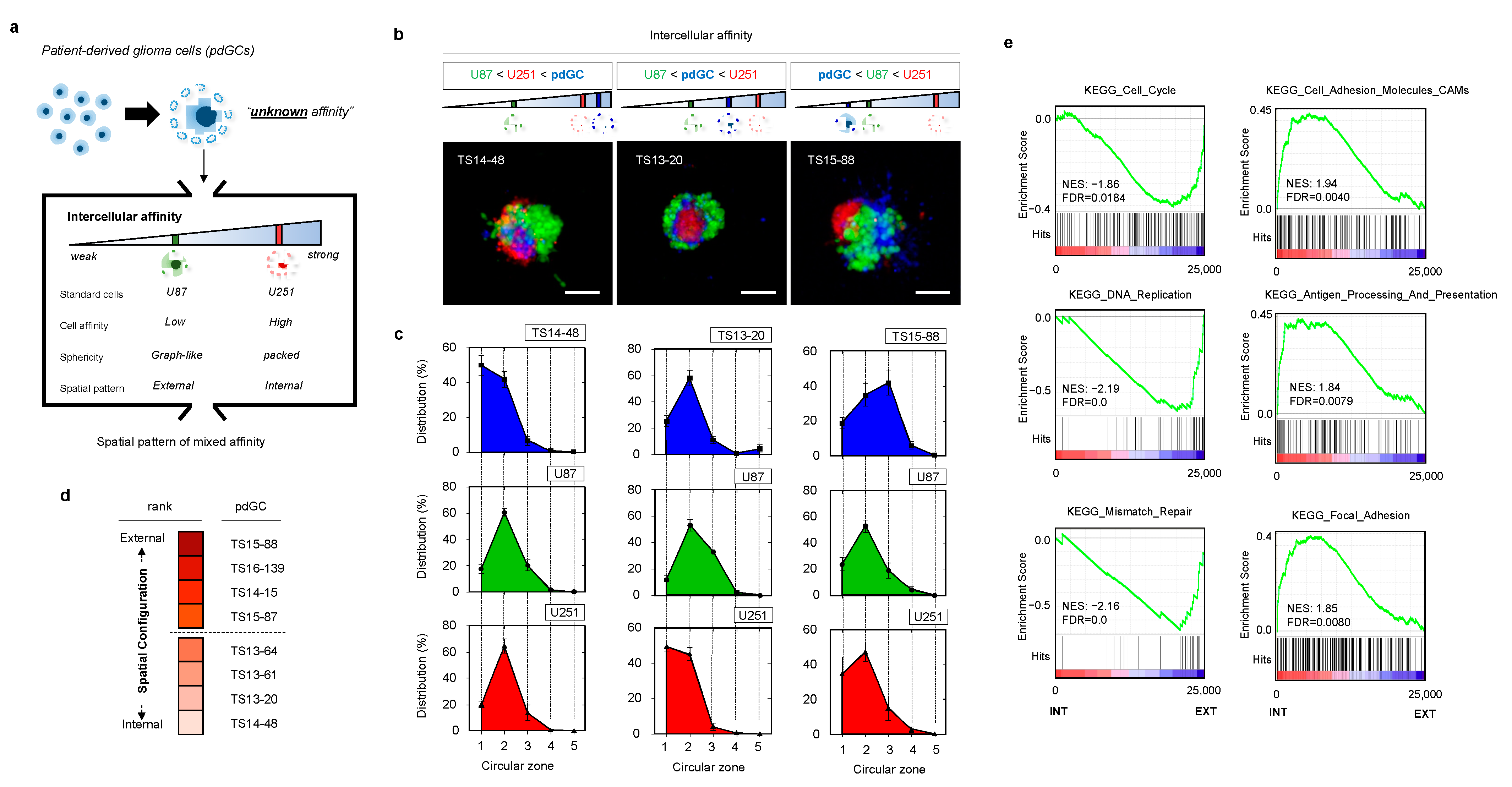 Cancers 14 05910 g003 Cancers 14 05910 g003
