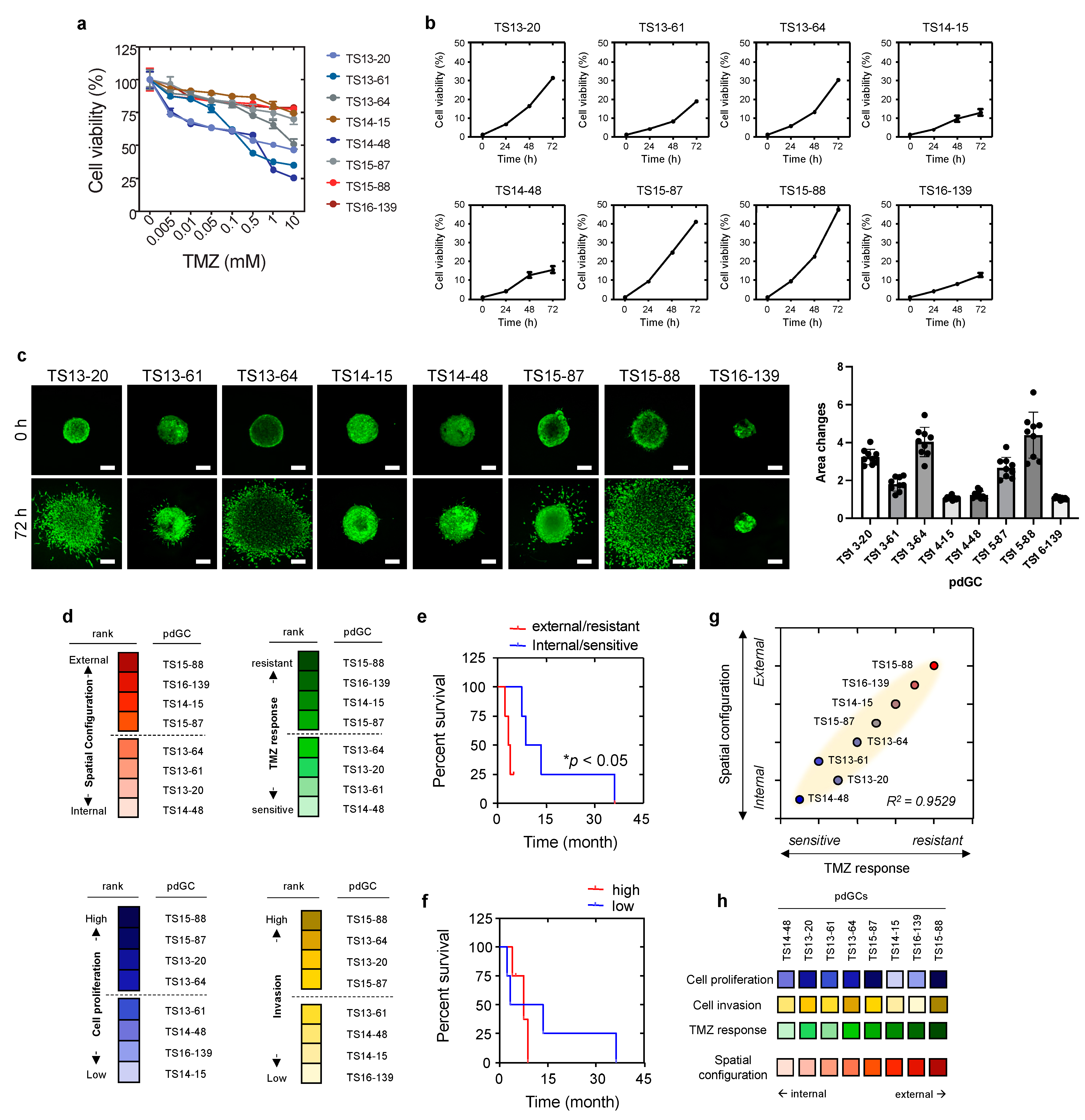 Cancers 14 05910 g004 Cancers 14 05910 g004