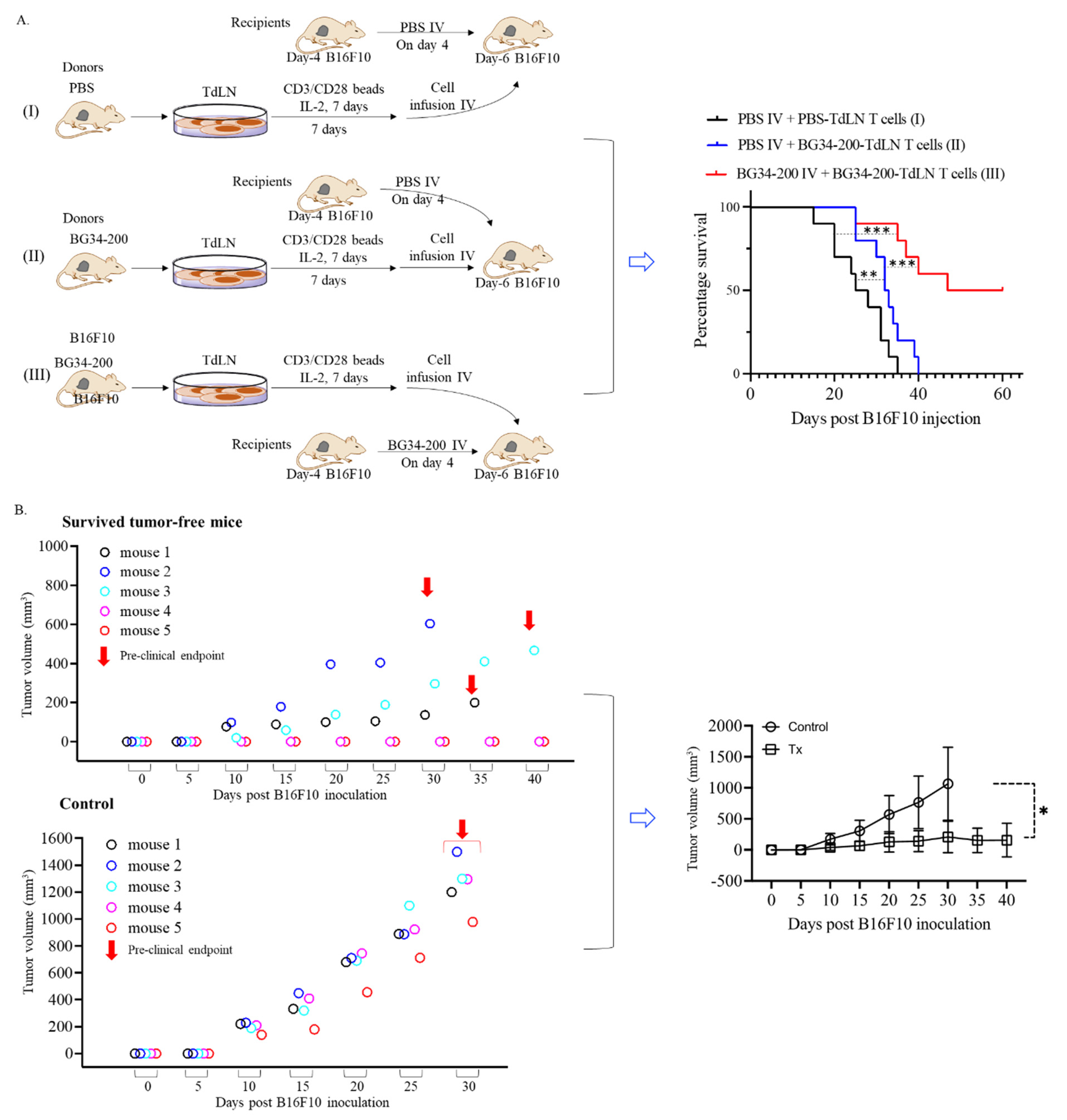 Cancers 14 05911 g006