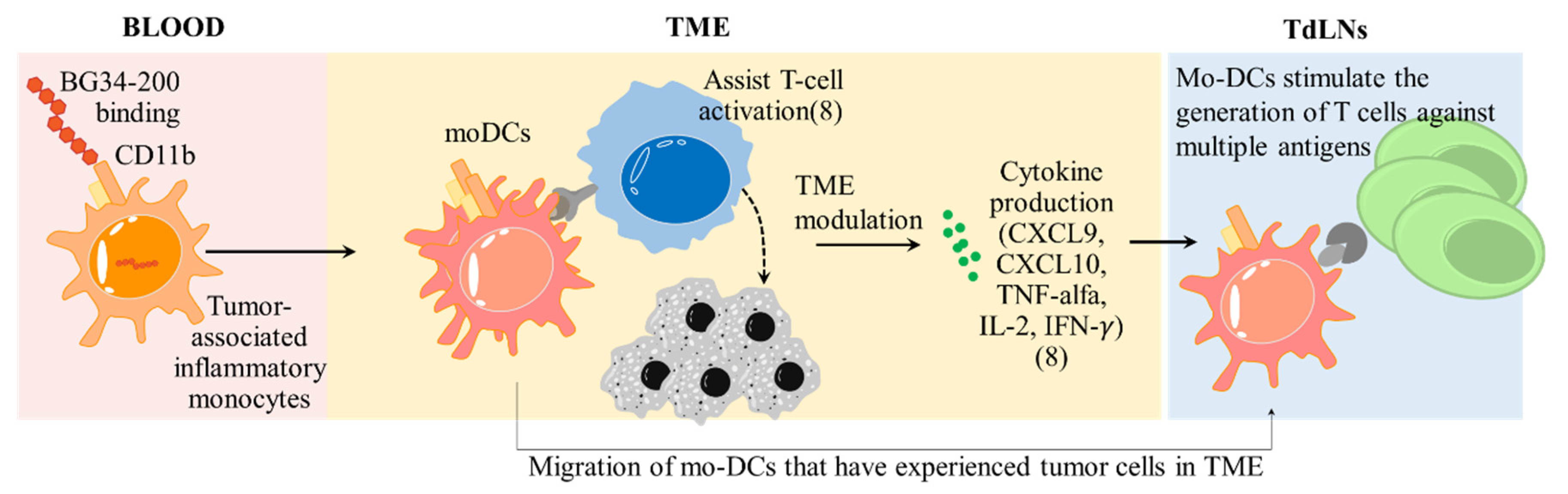 Cancers 14 05911 g007