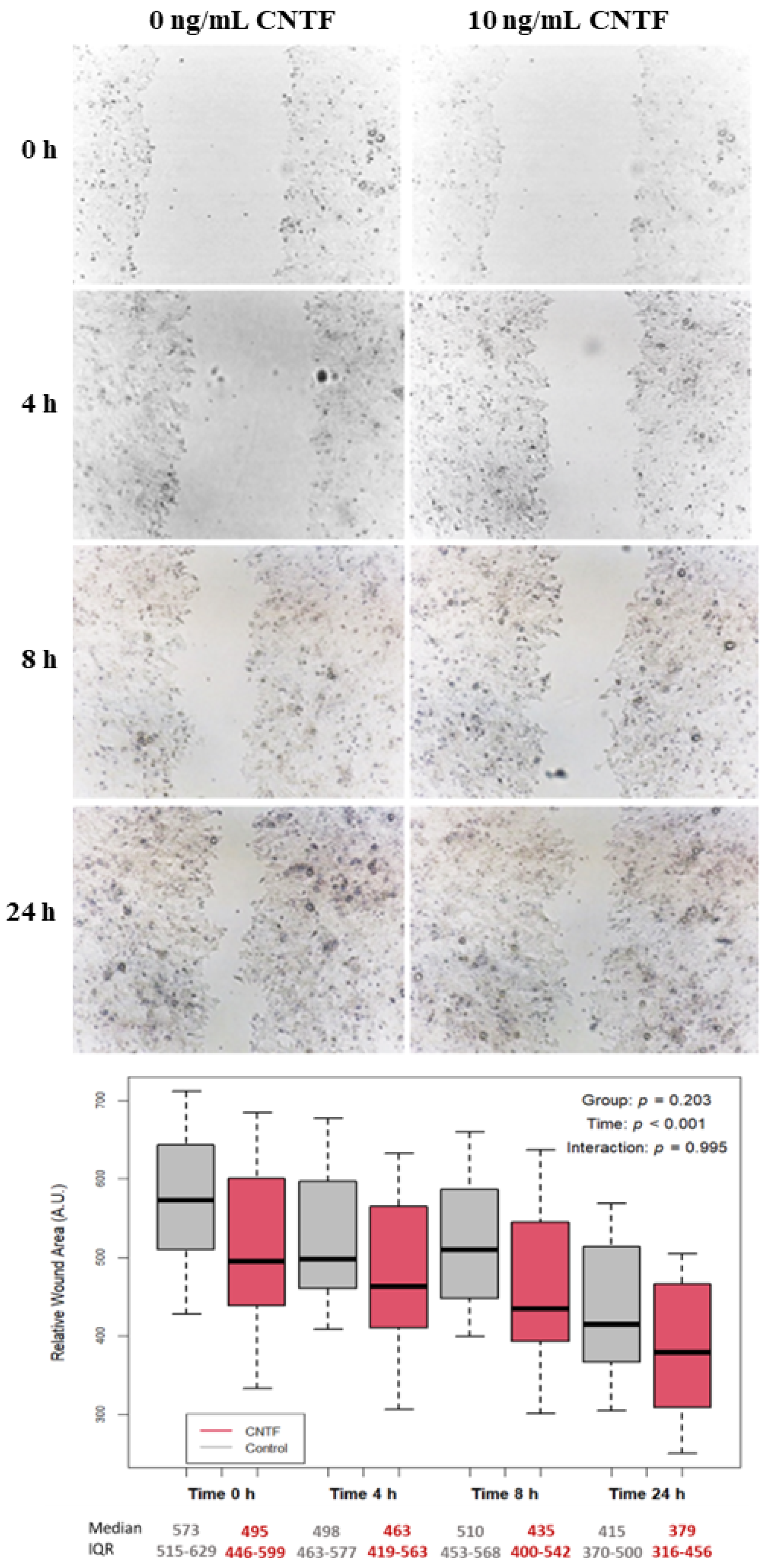 Cancers 14 05917 g005