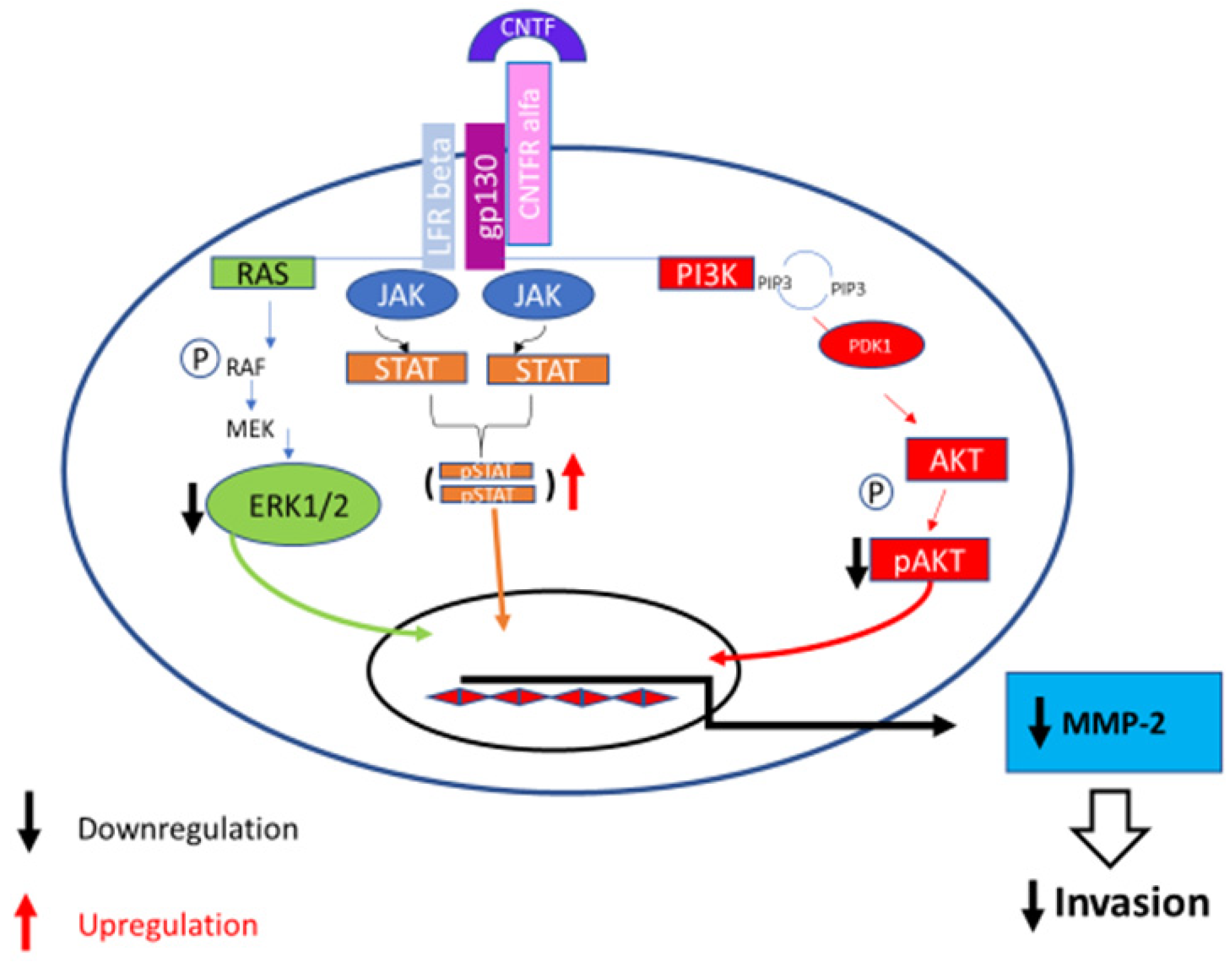Cancers 14 05917 g008