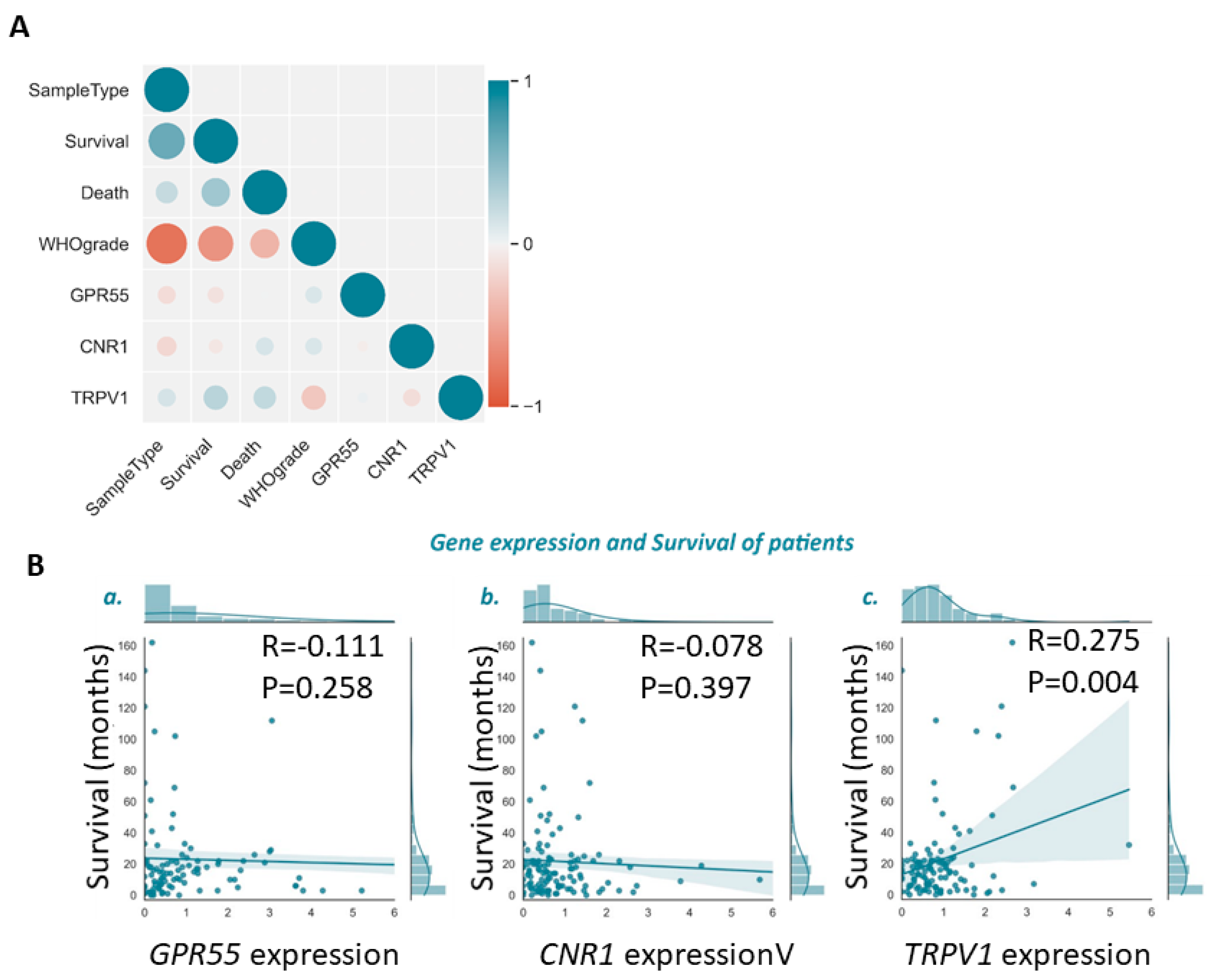 Cancers 14 05918 g002