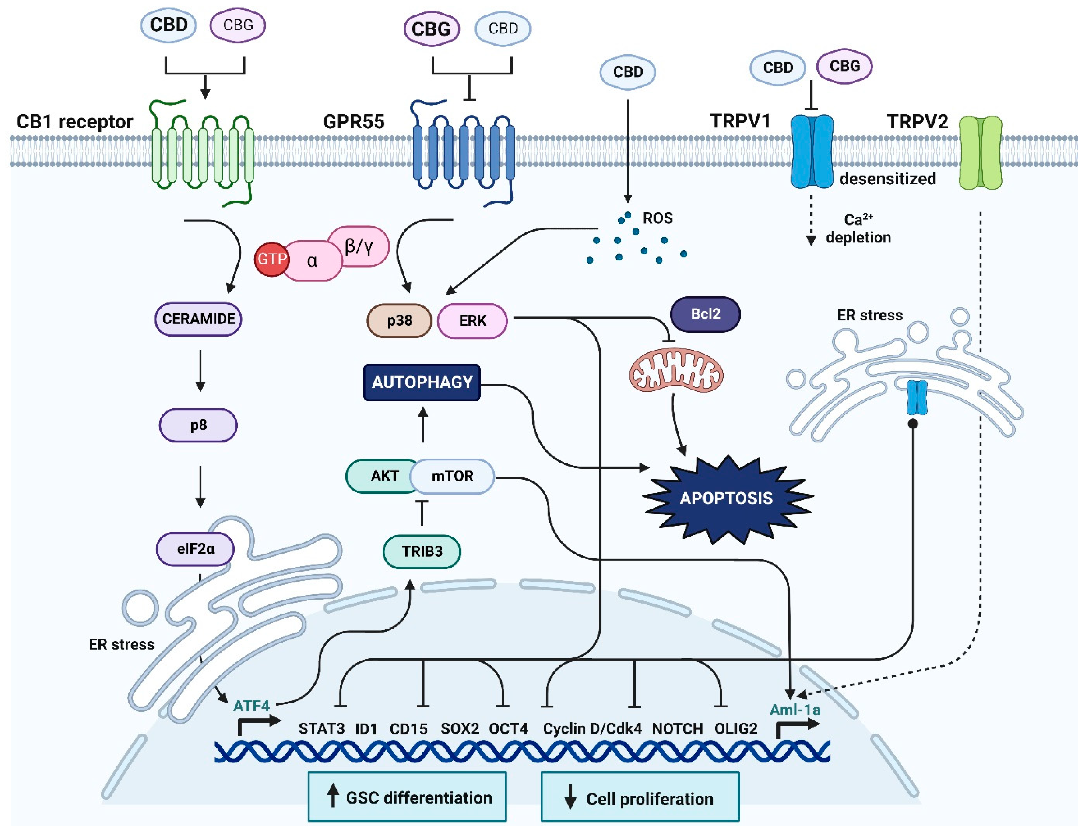 Cancers 14 05918 sch001