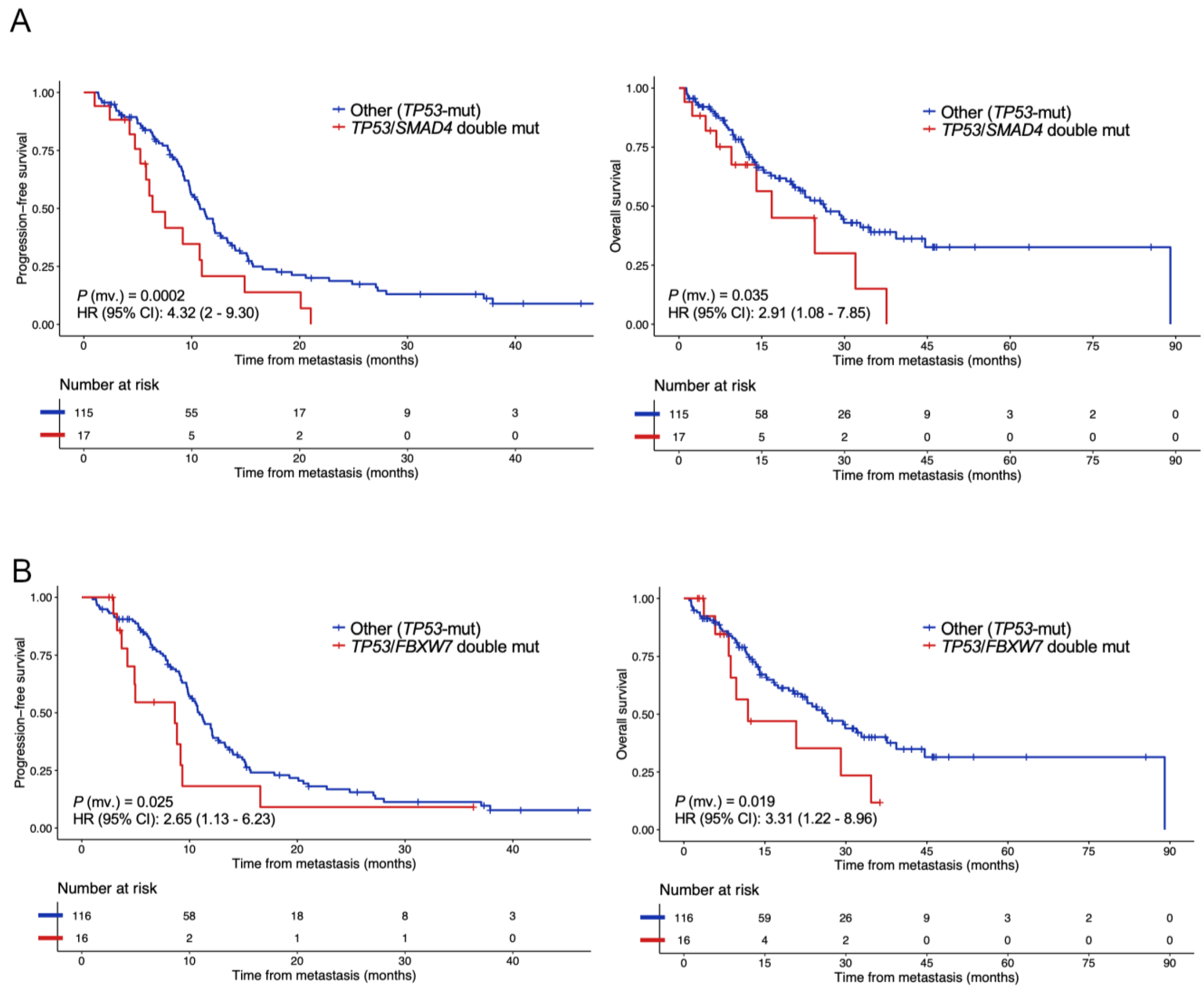 Cancers 14 05921 g002