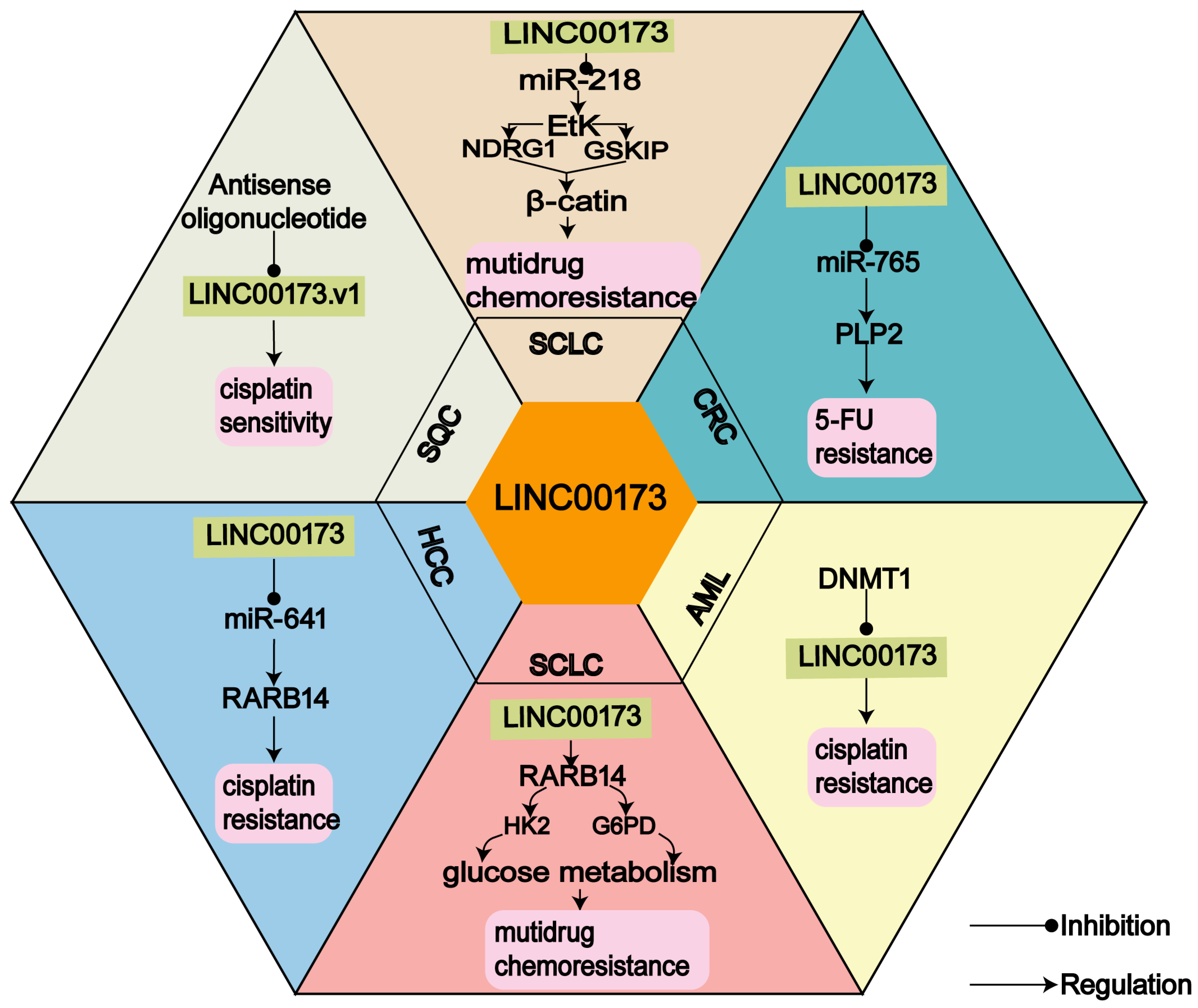 Cancers 14 05923 g001