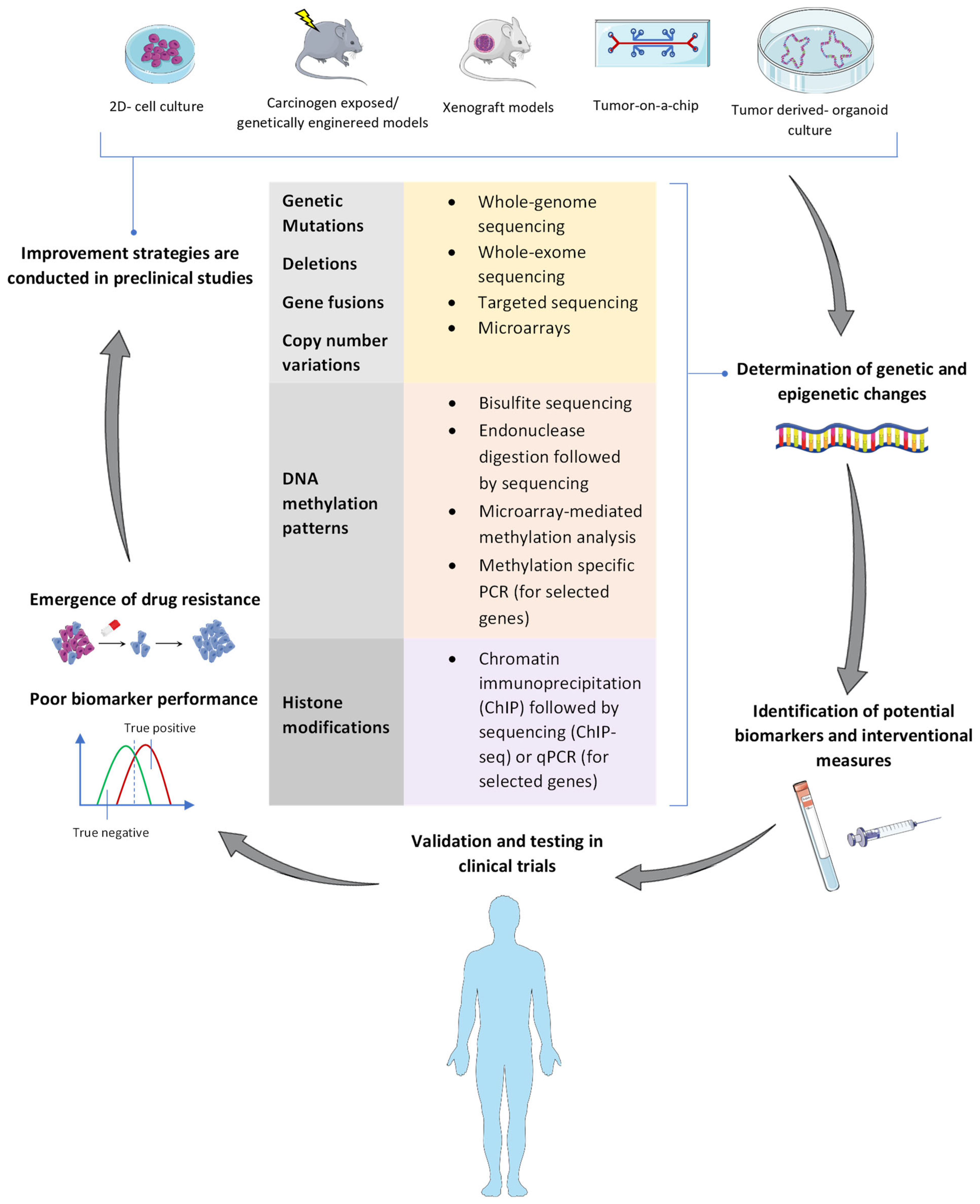 Cancers 14 05926 g001 Cancers 14 05926 g001