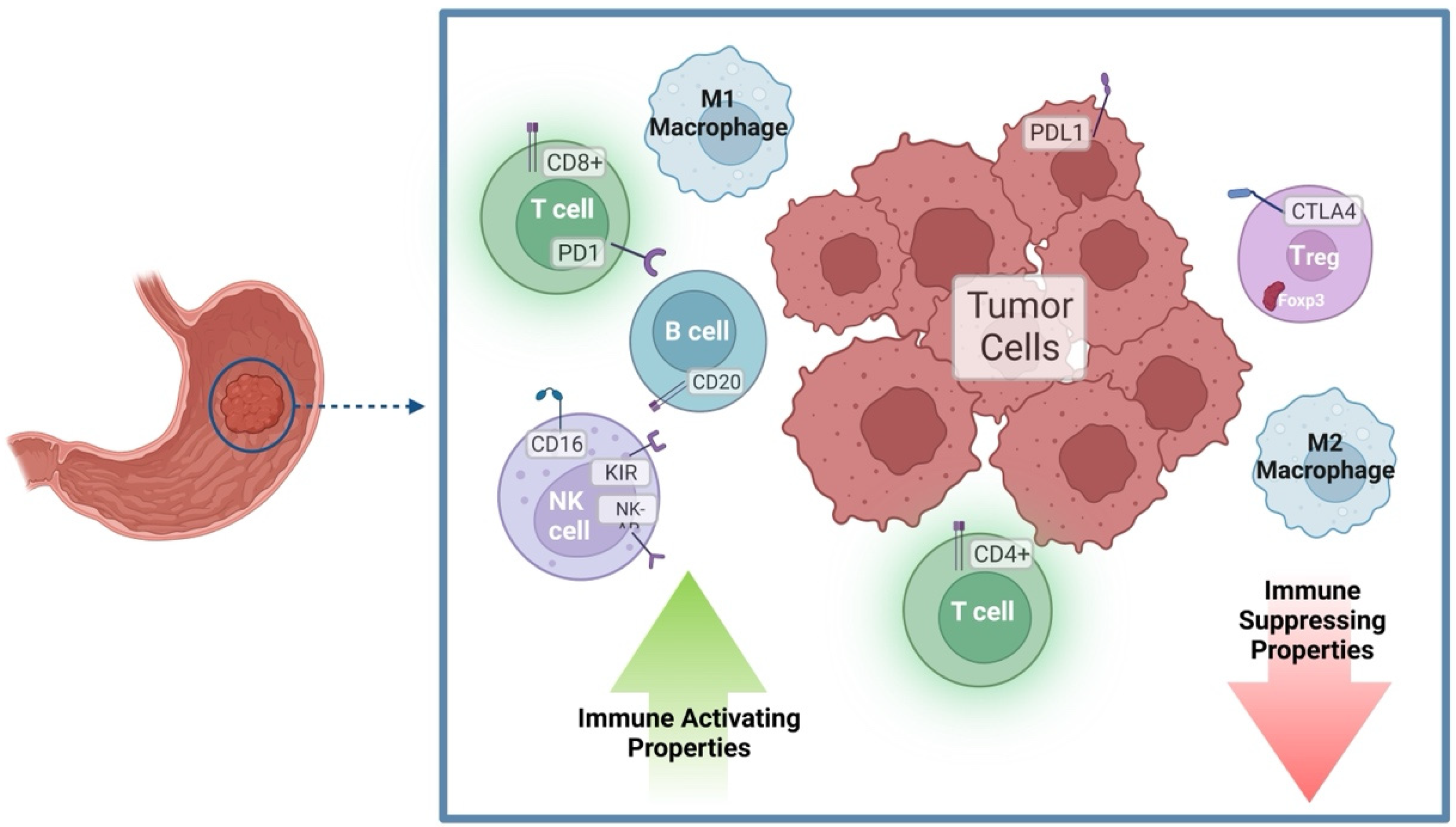 Cancers 14 05940 g001