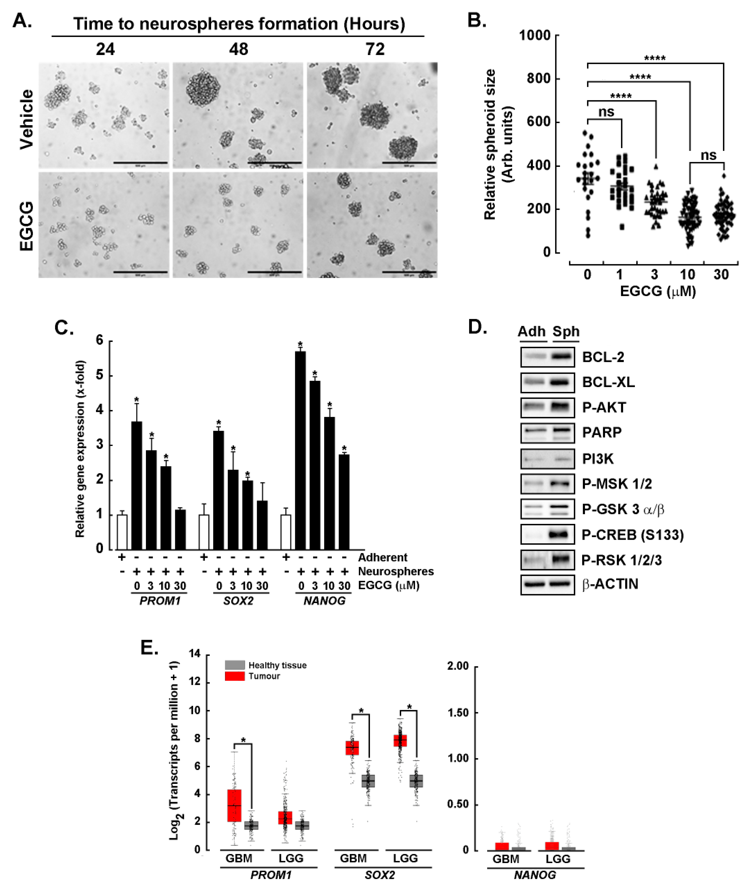 Cancers 14 05944 g001 Cancers 14 05944 g001