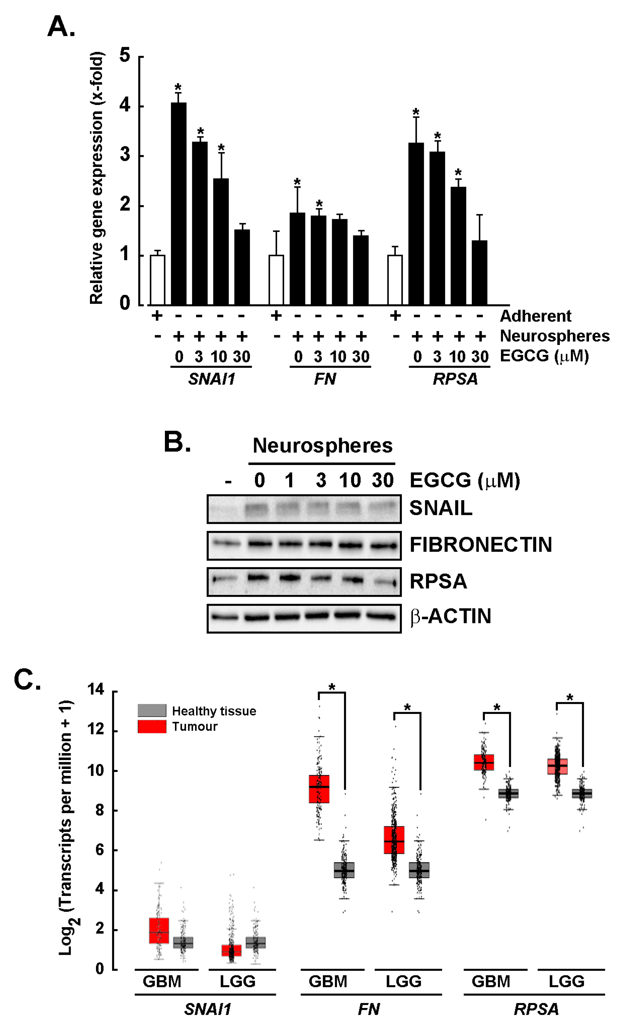 Cancers 14 05944 g003 Cancers 14 05944 g003