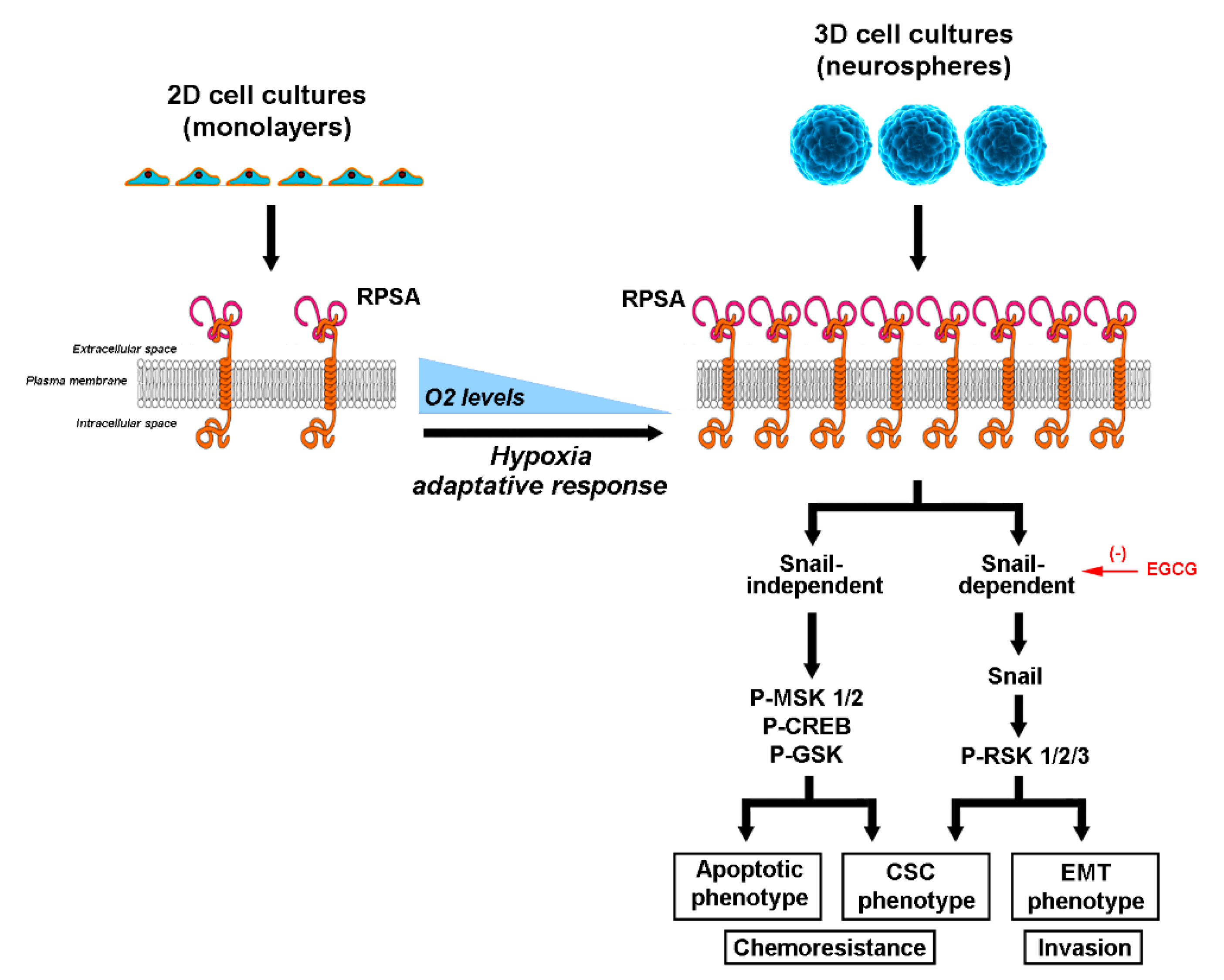 Cancers 14 05944 g006 Cancers 14 05944 g006