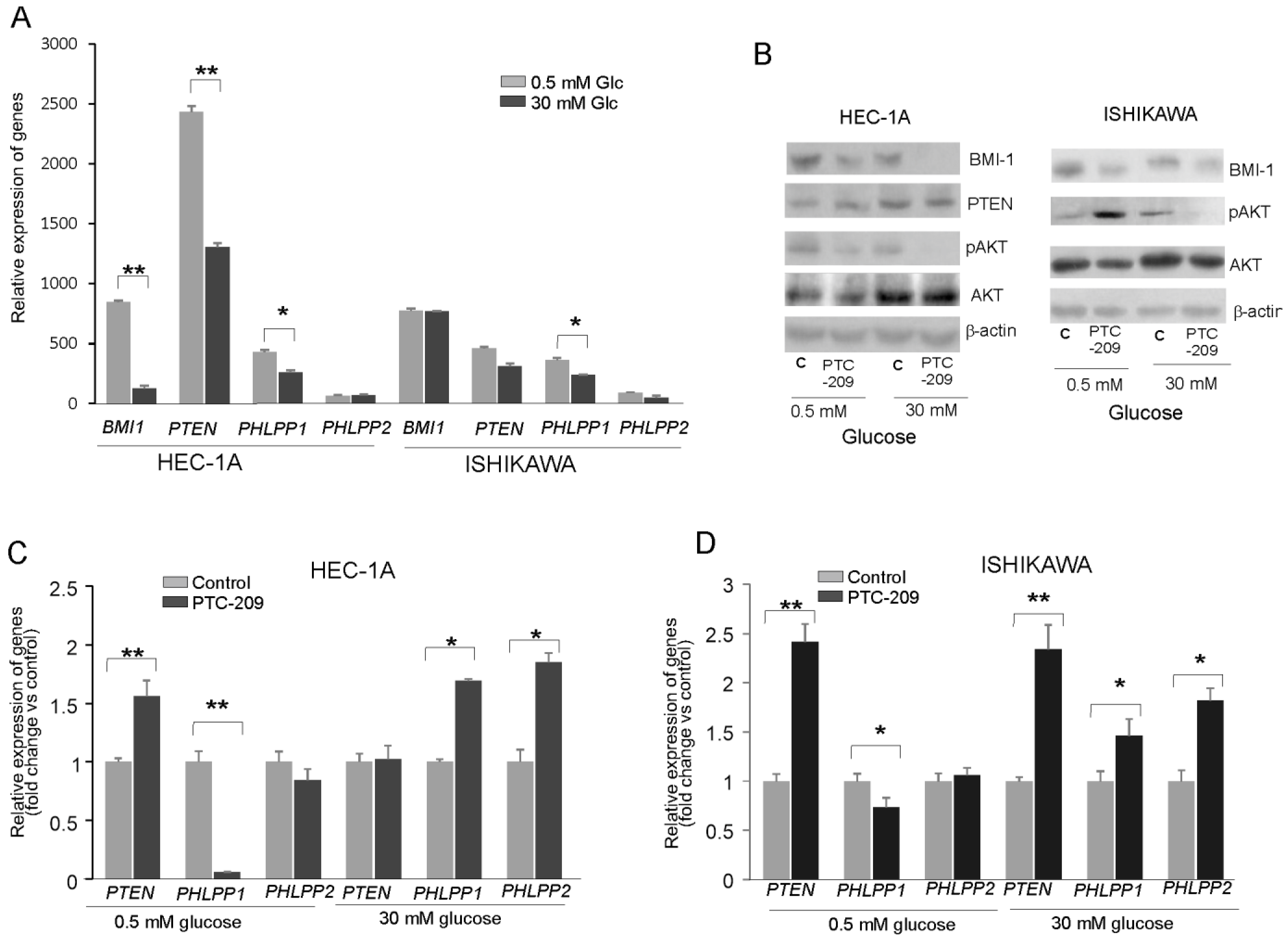 Cancers 14 05947 g002