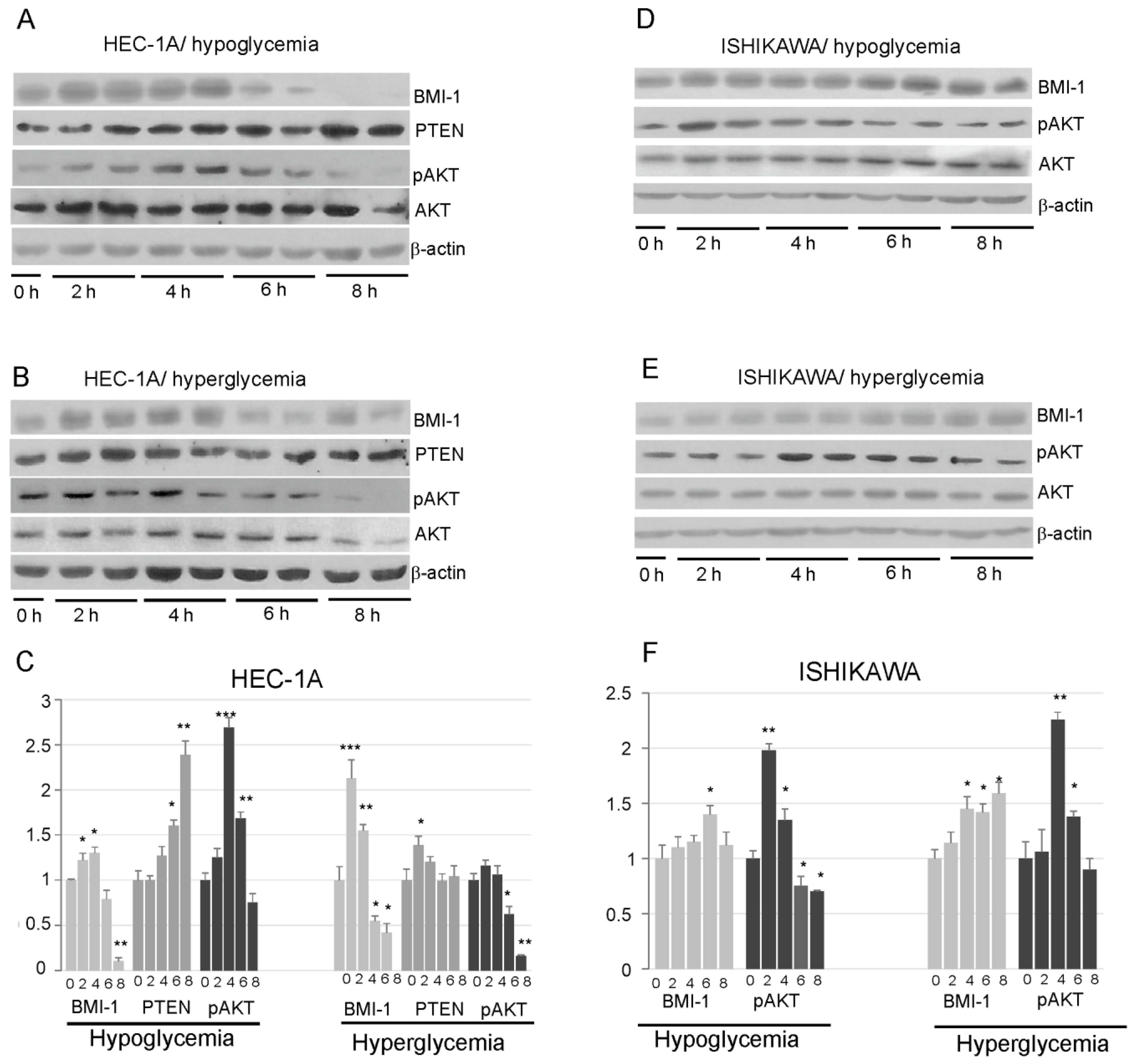 Cancers 14 05947 g003