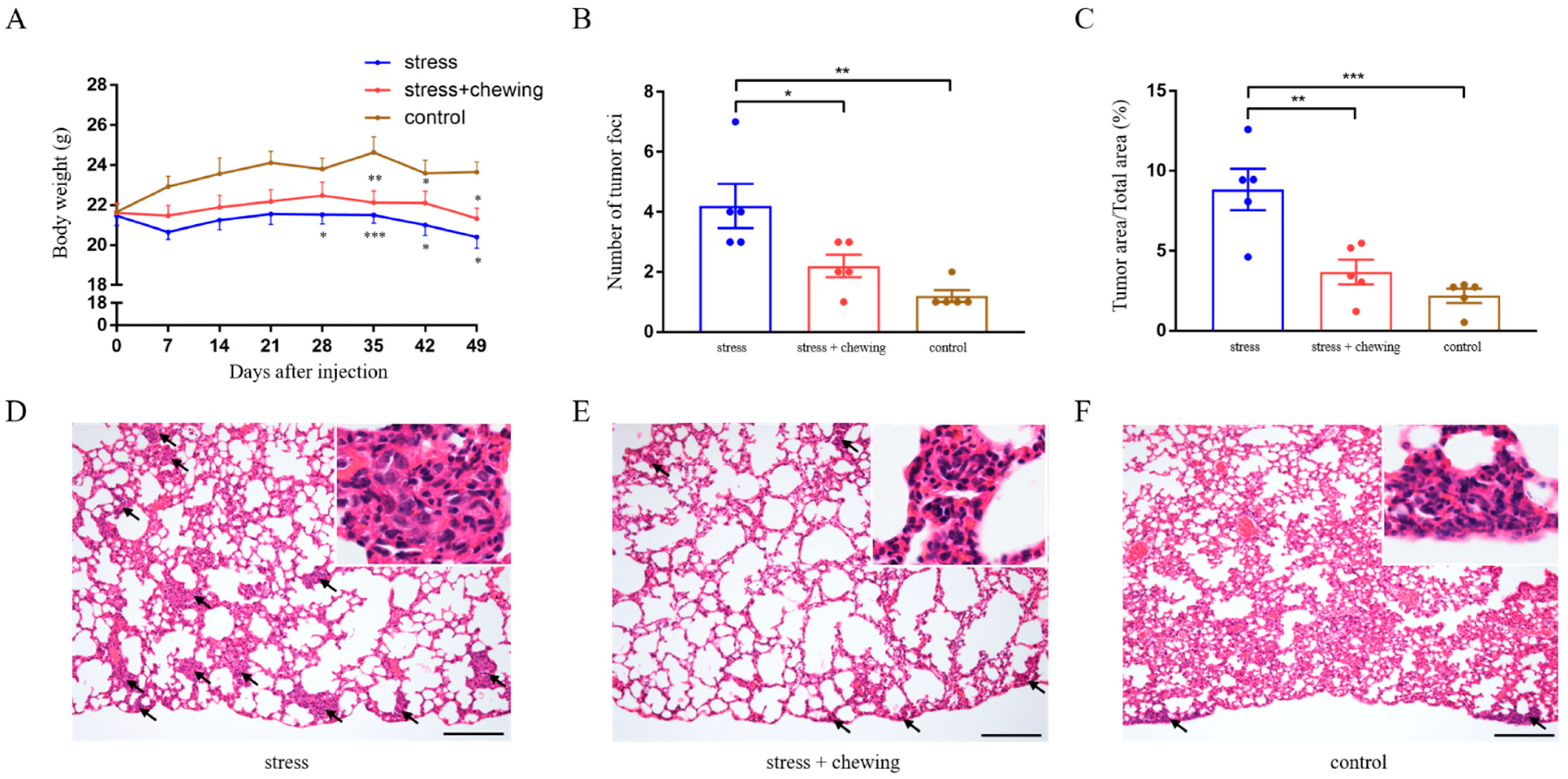 Cancers 14 05950 g001 Cancers 14 05950 g001