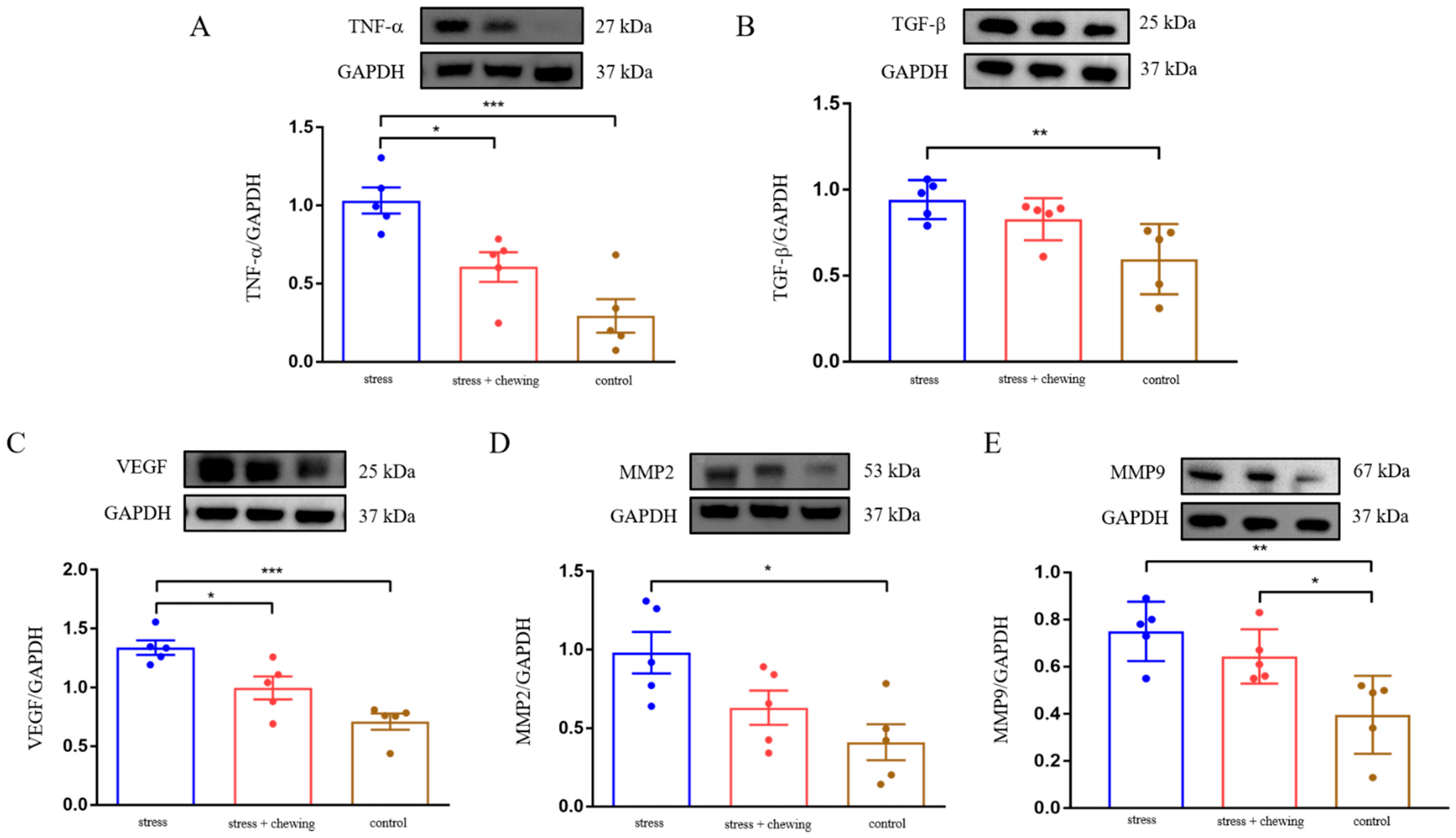 Cancers 14 05950 g003 Cancers 14 05950 g003