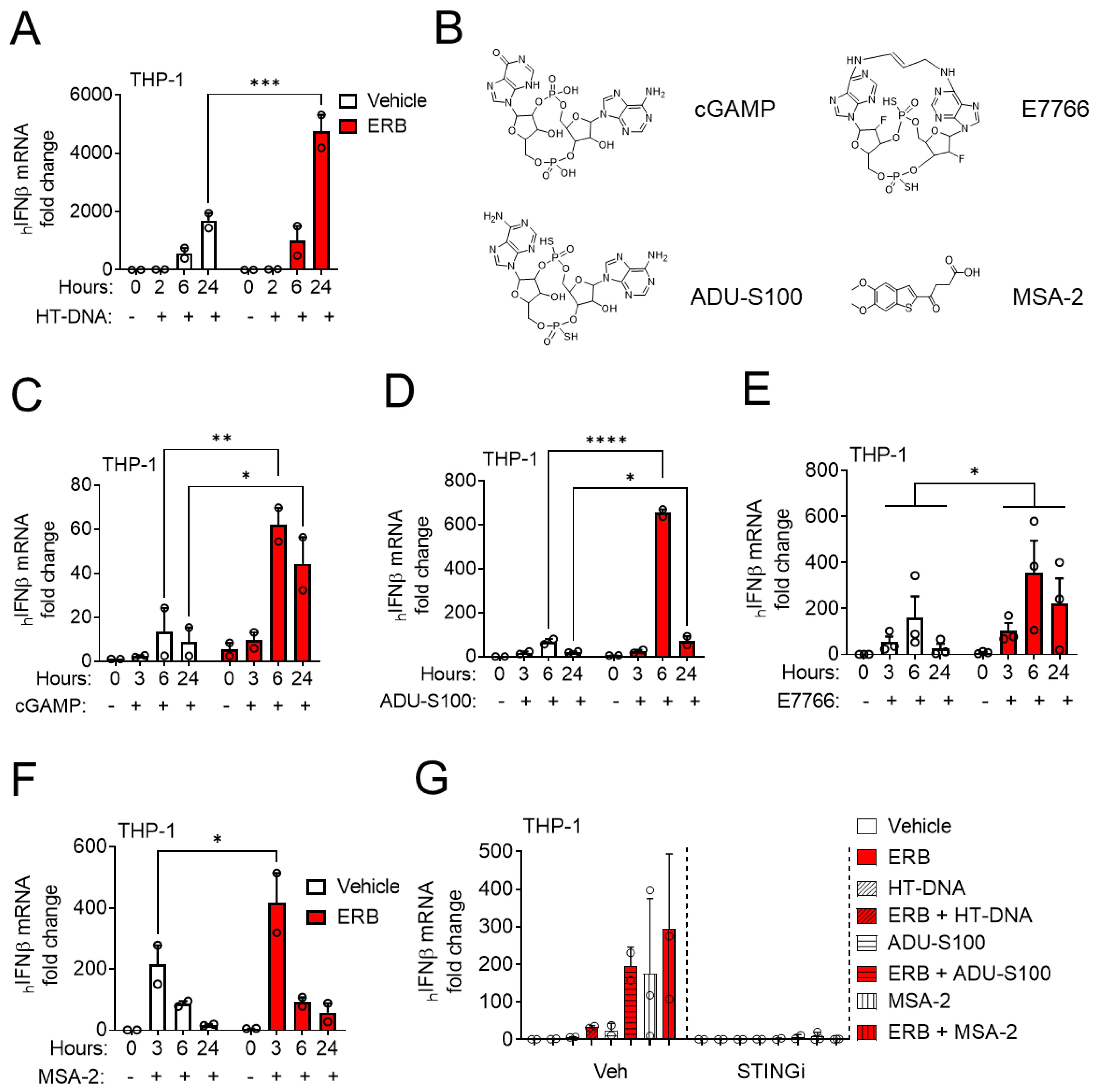 Cancers 14 05962 g001