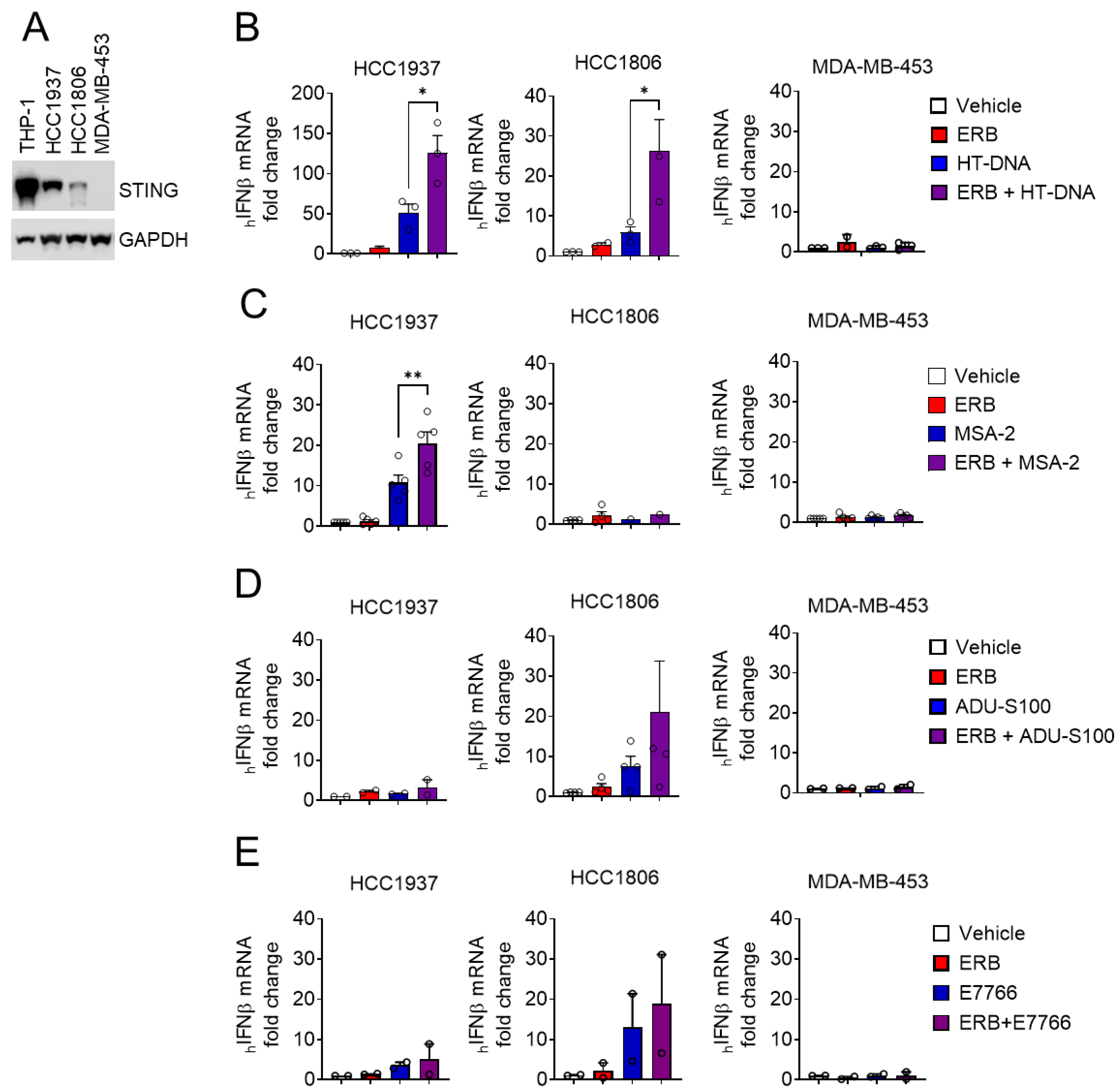 Cancers 14 05962 g004