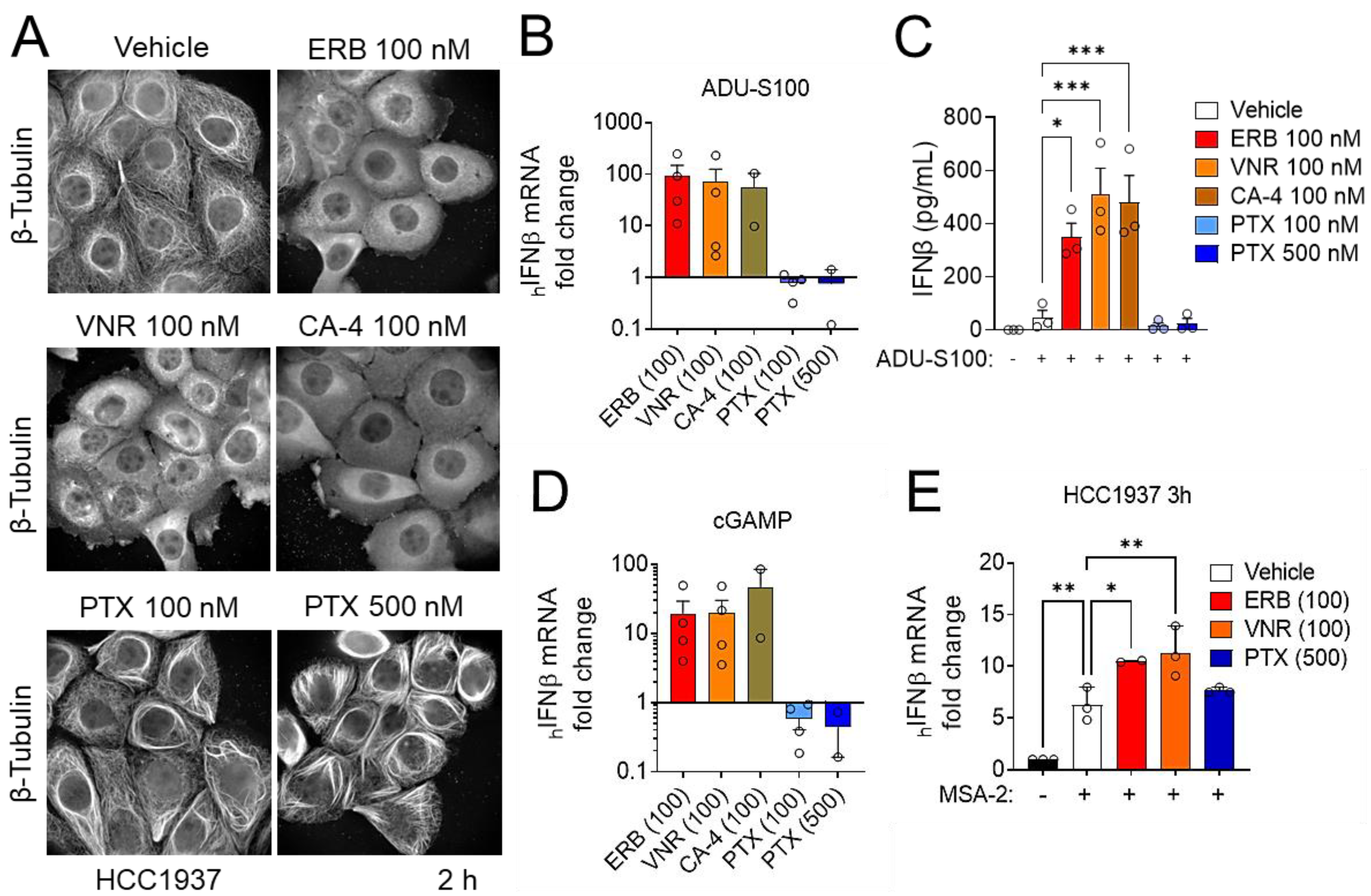 Cancers 14 05962 g005