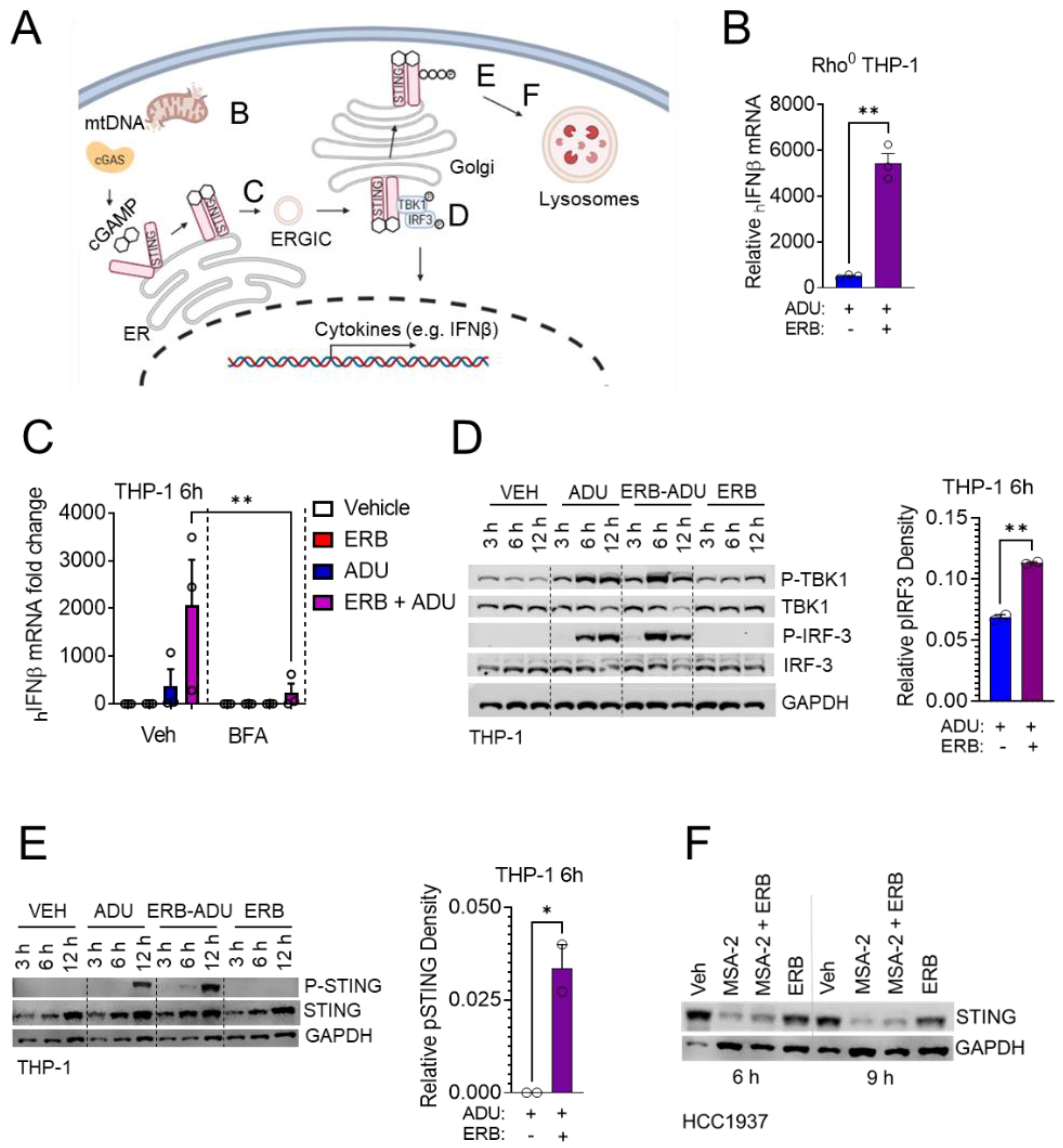 Cancers 14 05962 g006