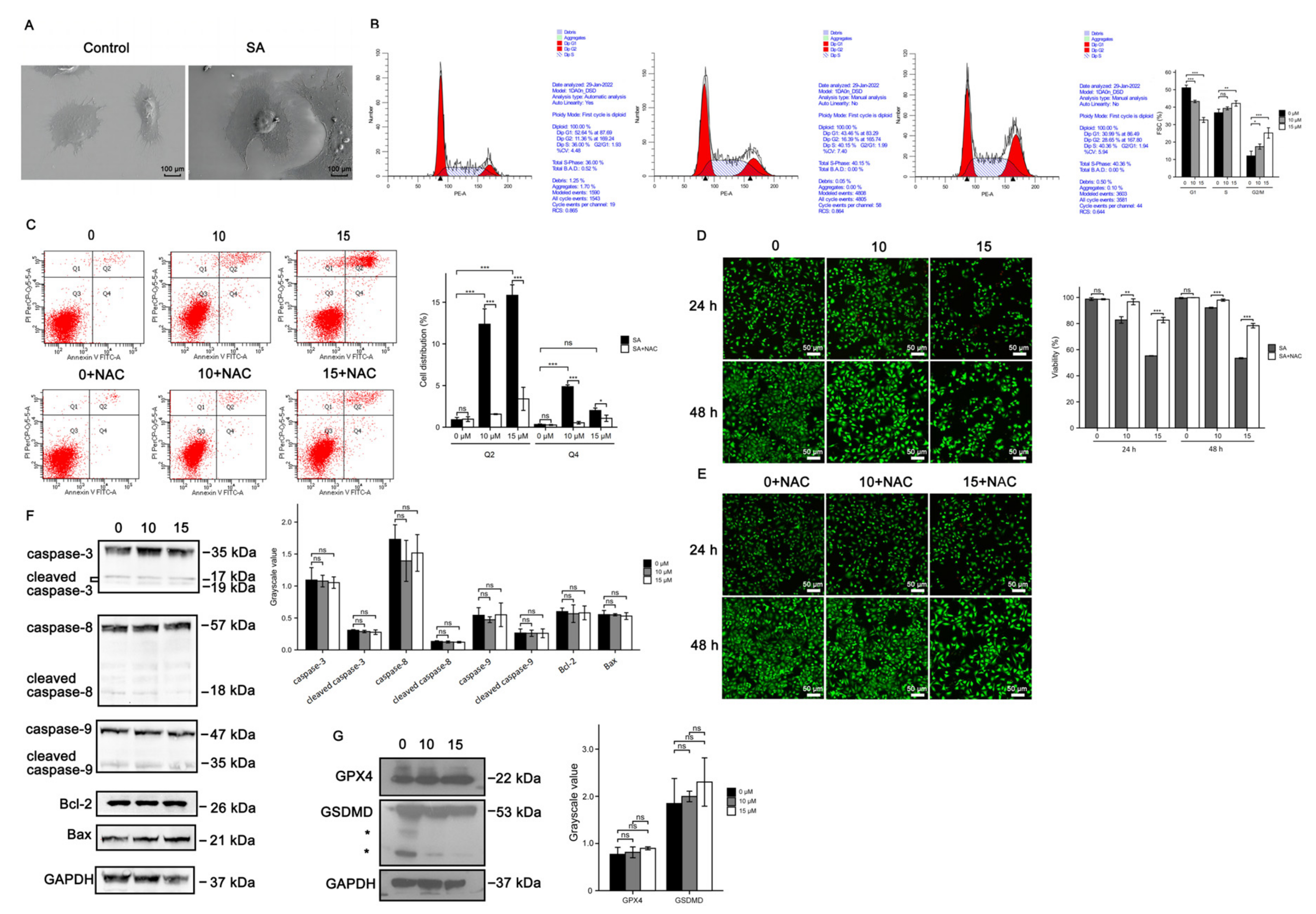 Cancers 14 05976 g003 Cancers 14 05976 g003