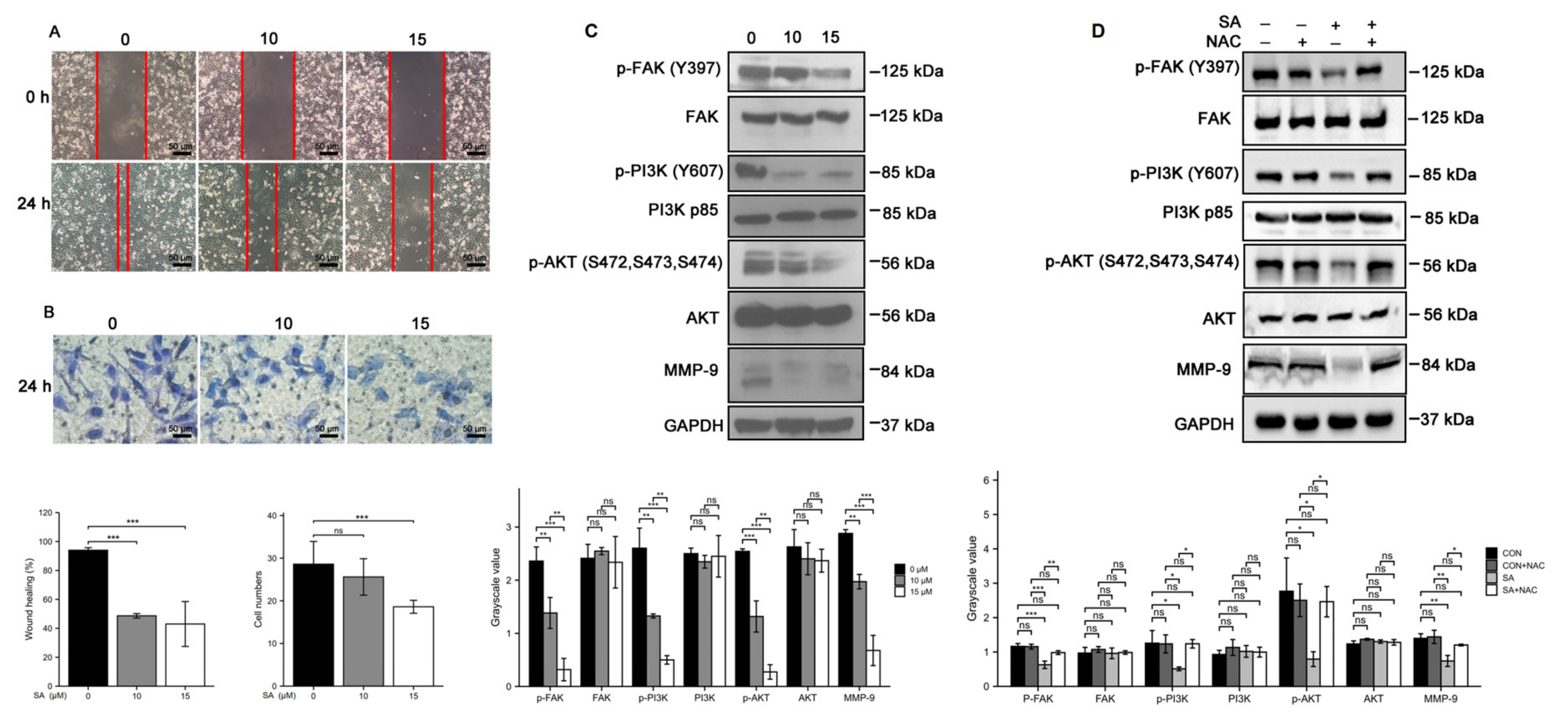 Cancers 14 05976 g005 Cancers 14 05976 g005