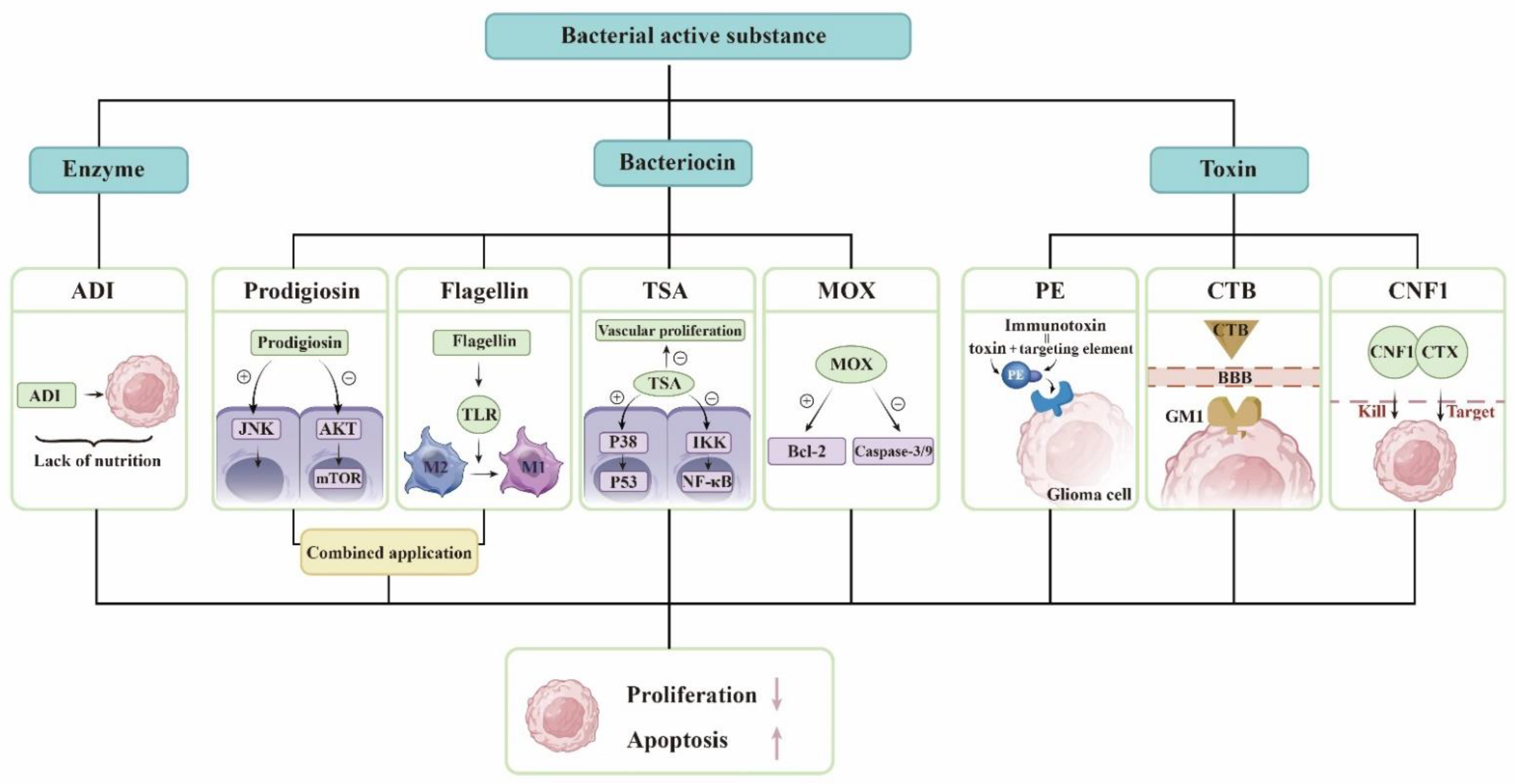 Cancers 14 05977 g001 Cancers 14 05977 g001