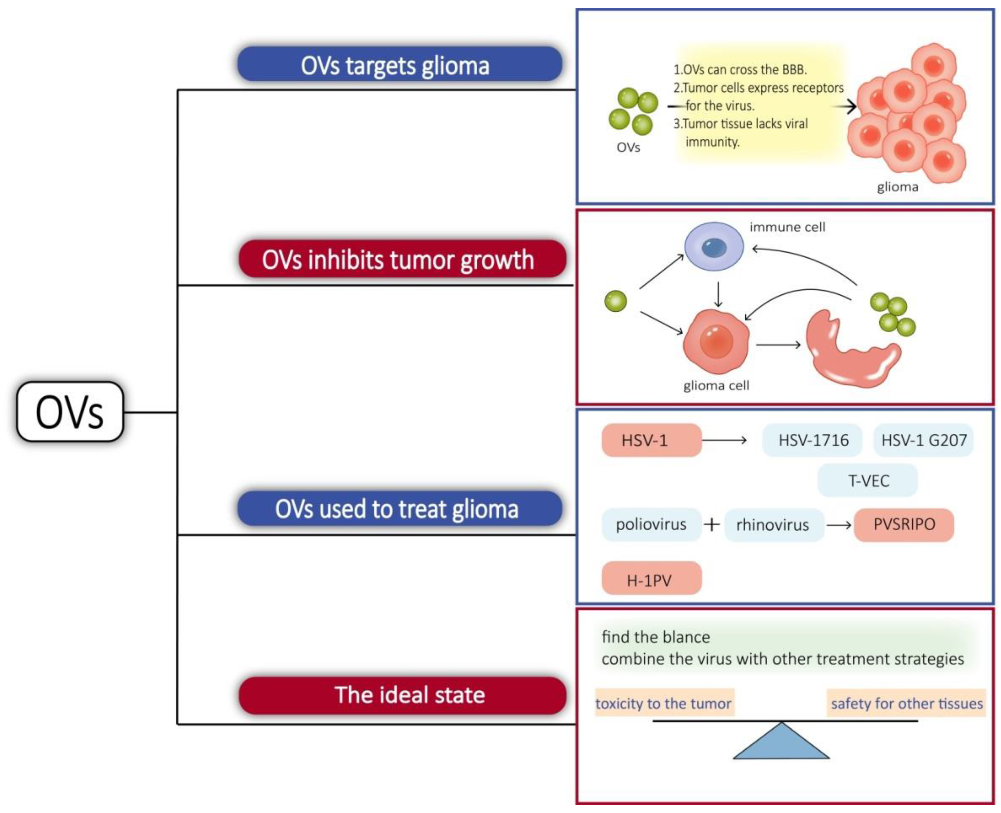 Cancers 14 05977 g002 Cancers 14 05977 g002