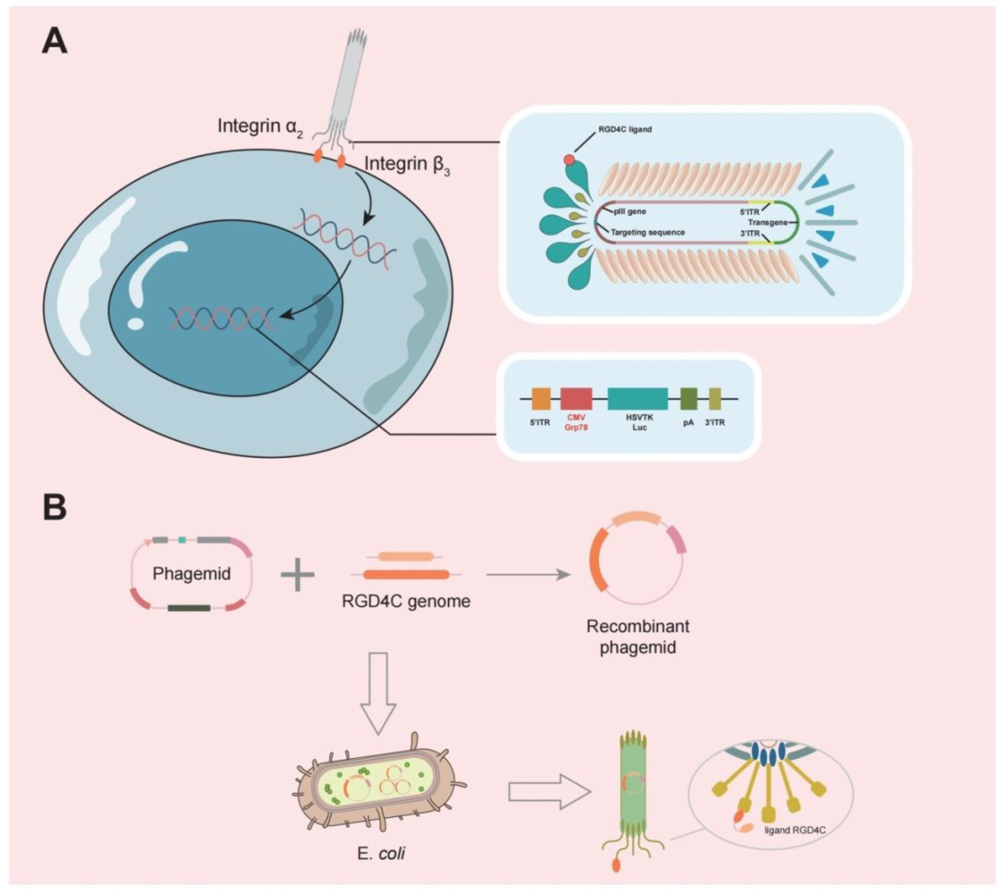 Cancers 14 05977 g003 Cancers 14 05977 g003