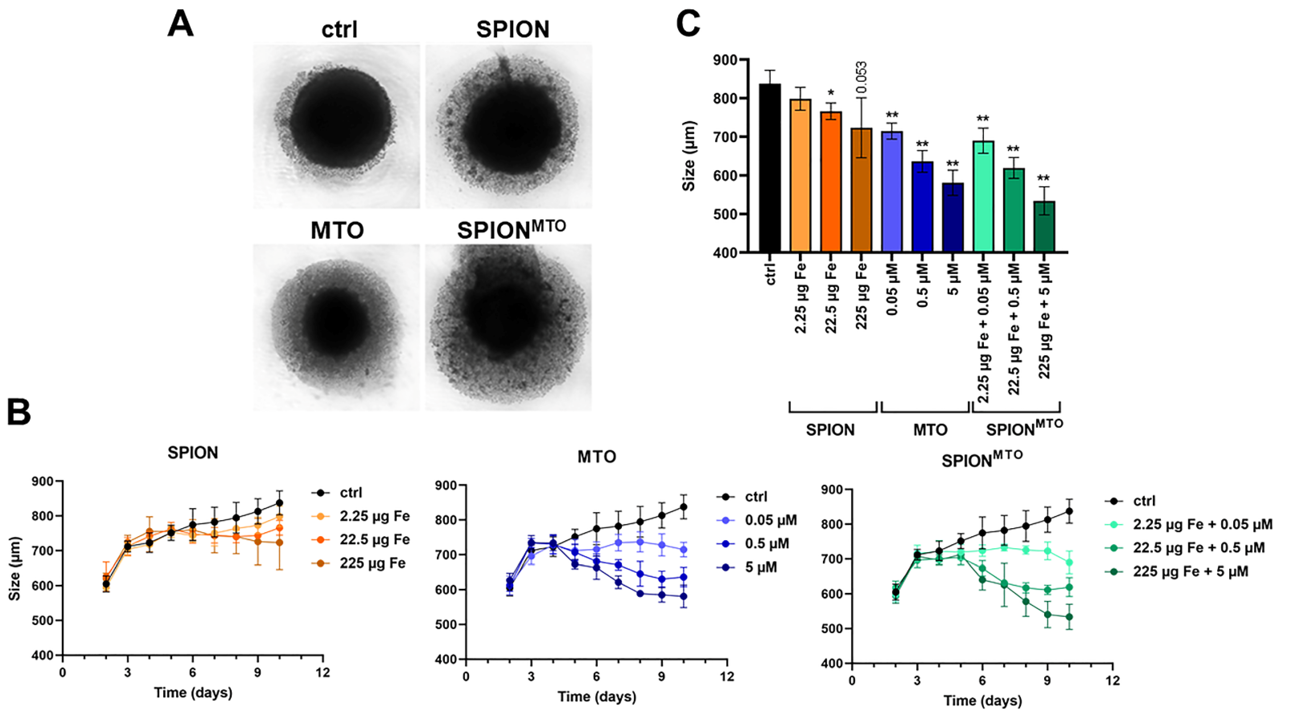 Cancers 14 05978 g002
