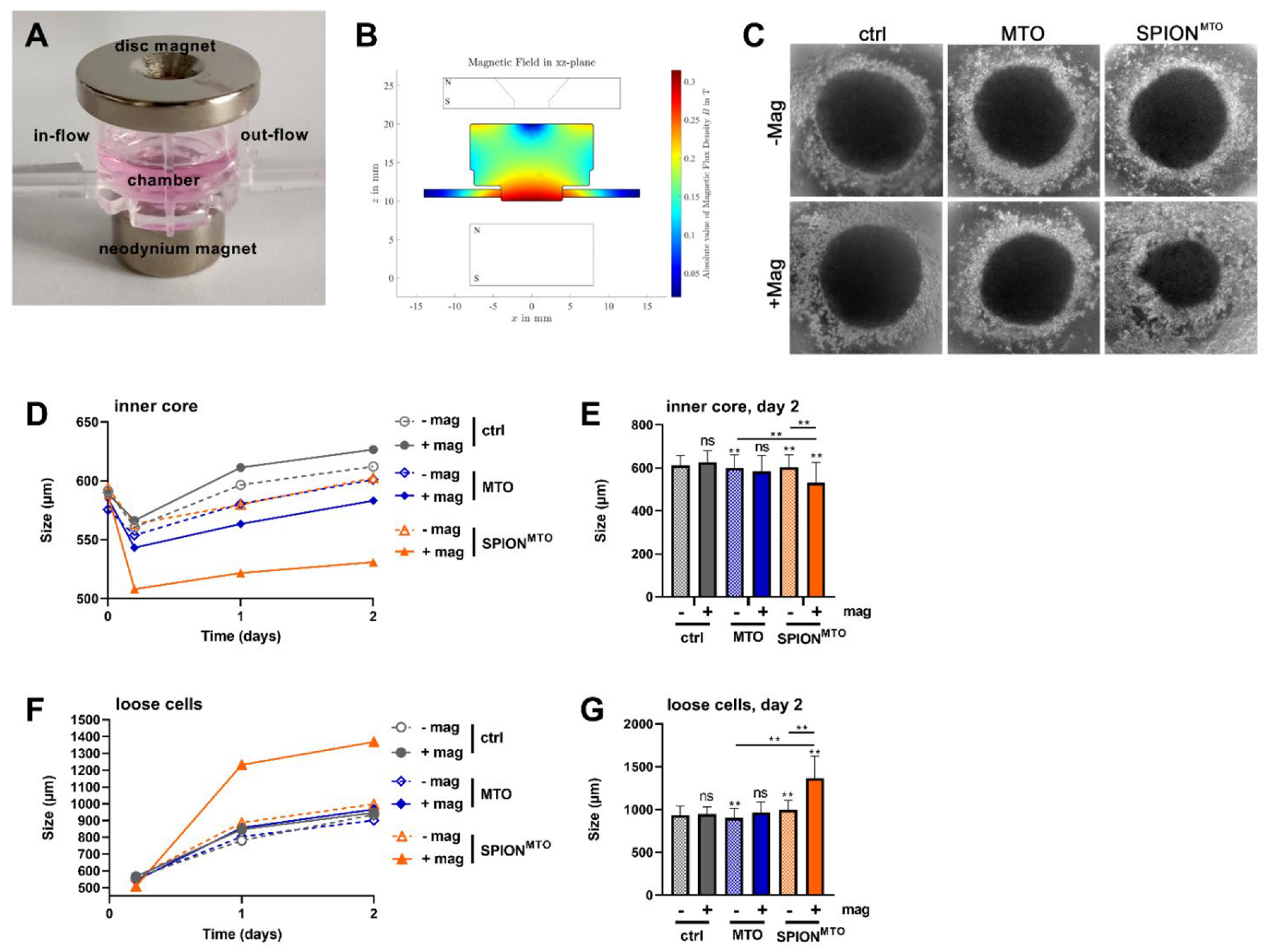 Cancers 14 05978 g004