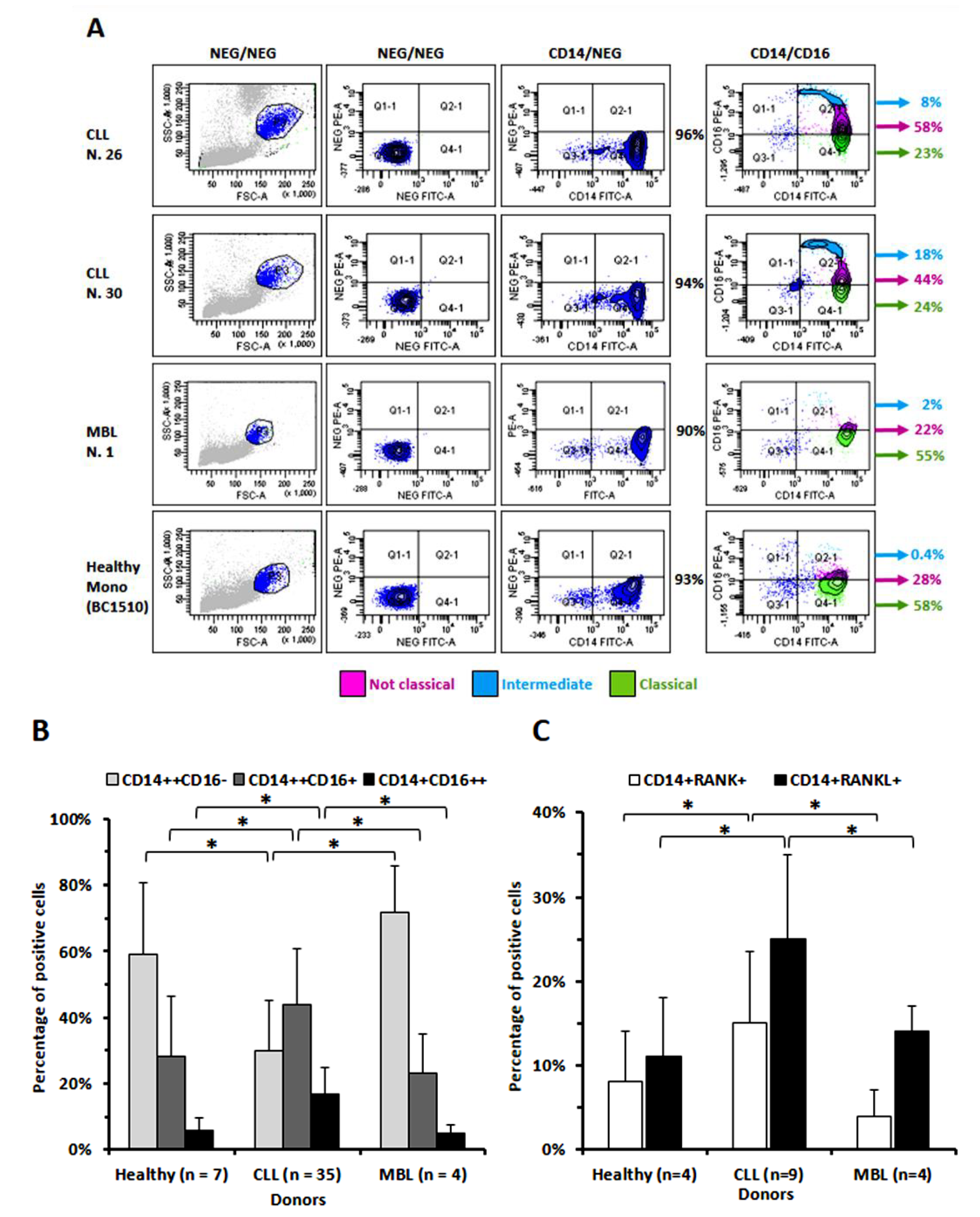 Cancers 14 05979 g001