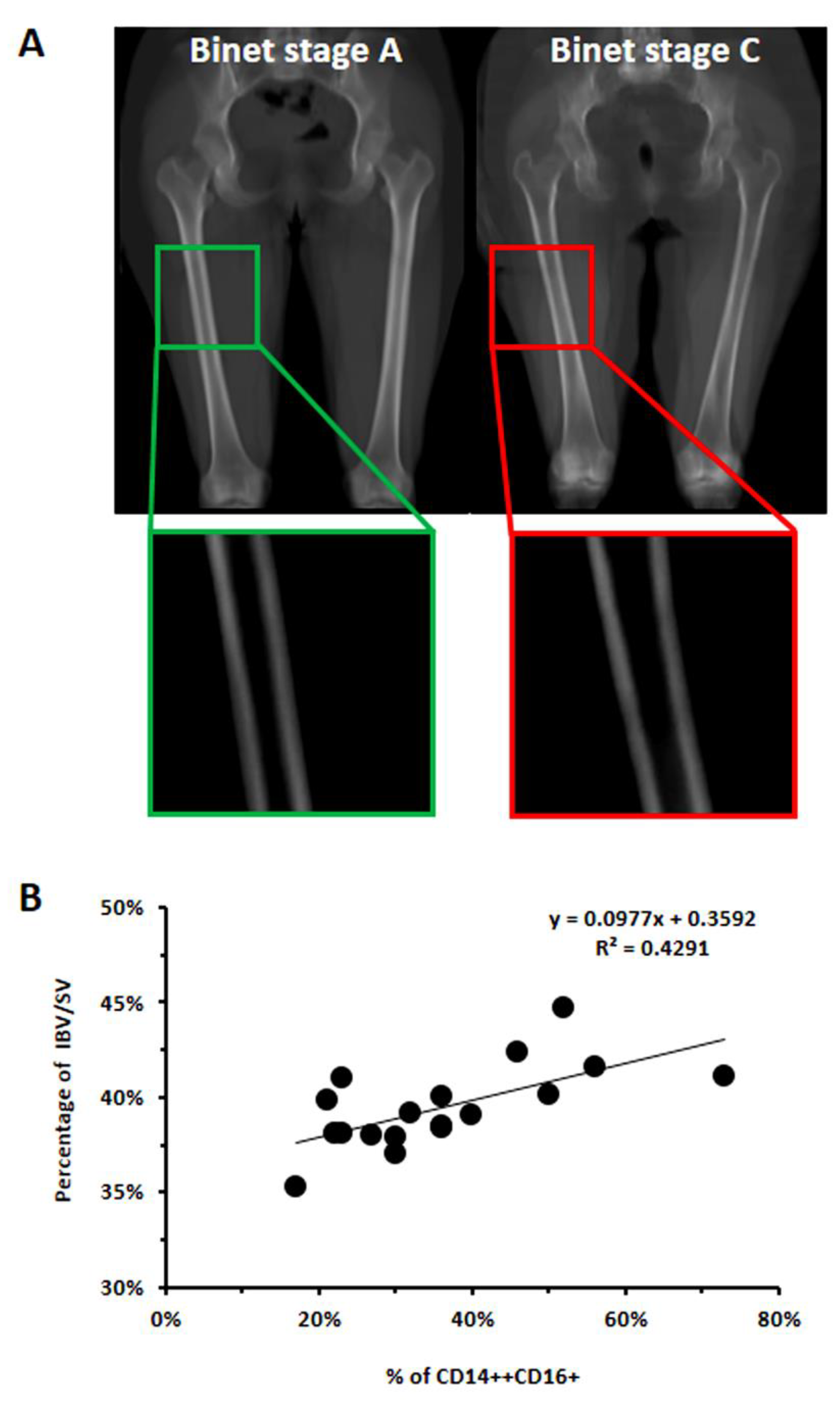 Cancers 14 05979 g003
