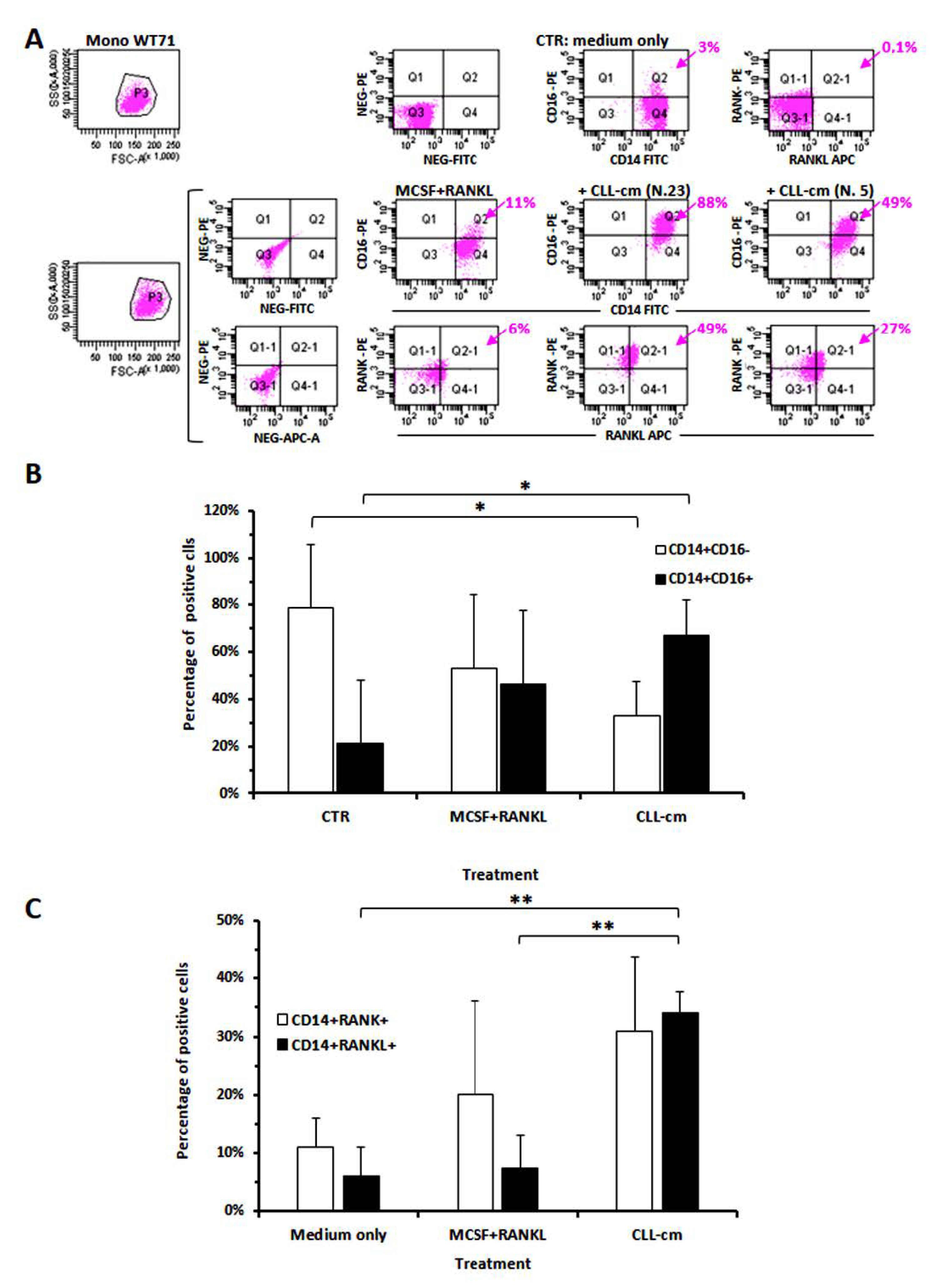 Cancers 14 05979 g004