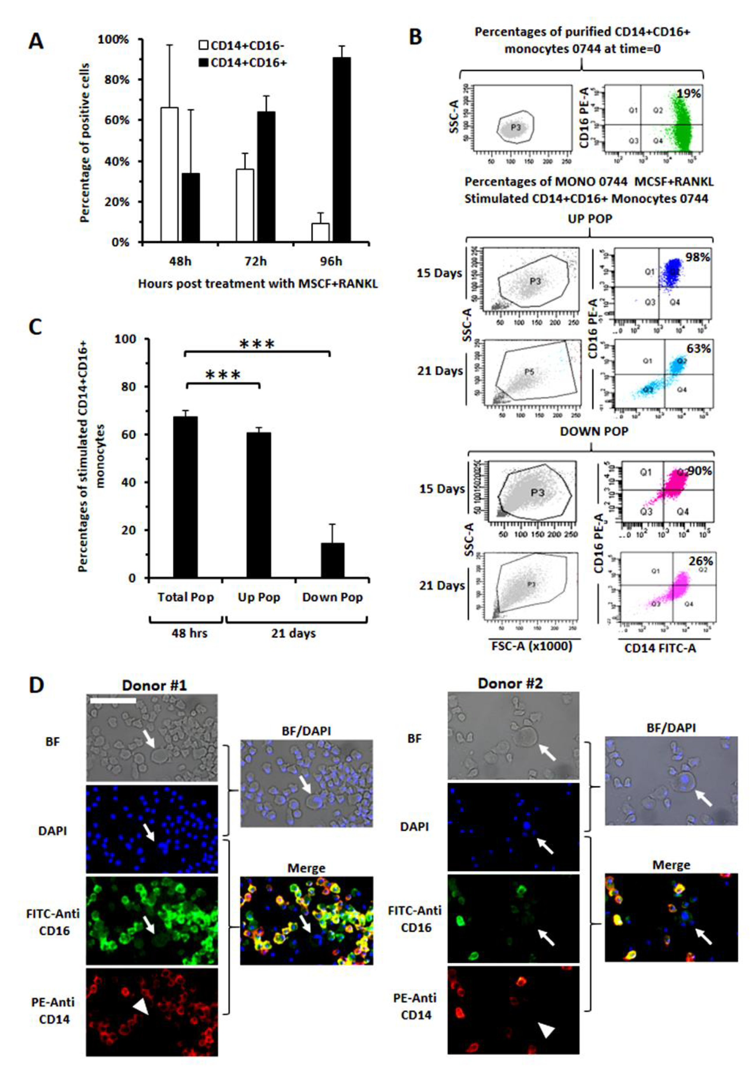 Cancers 14 05979 g005