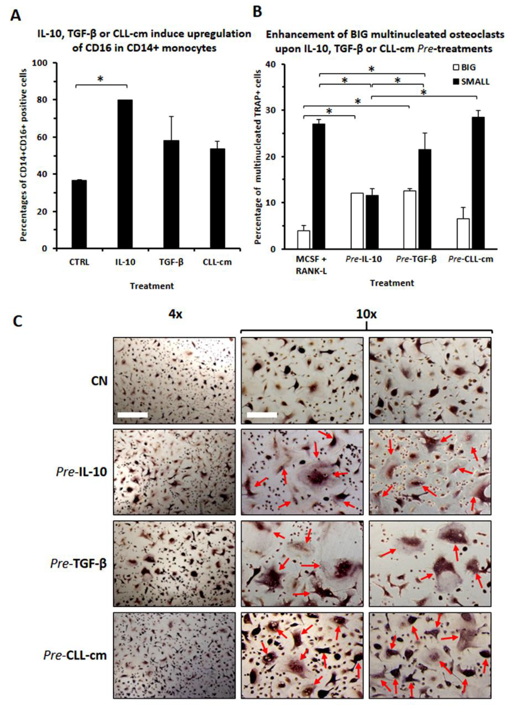 Cancers 14 05979 g006