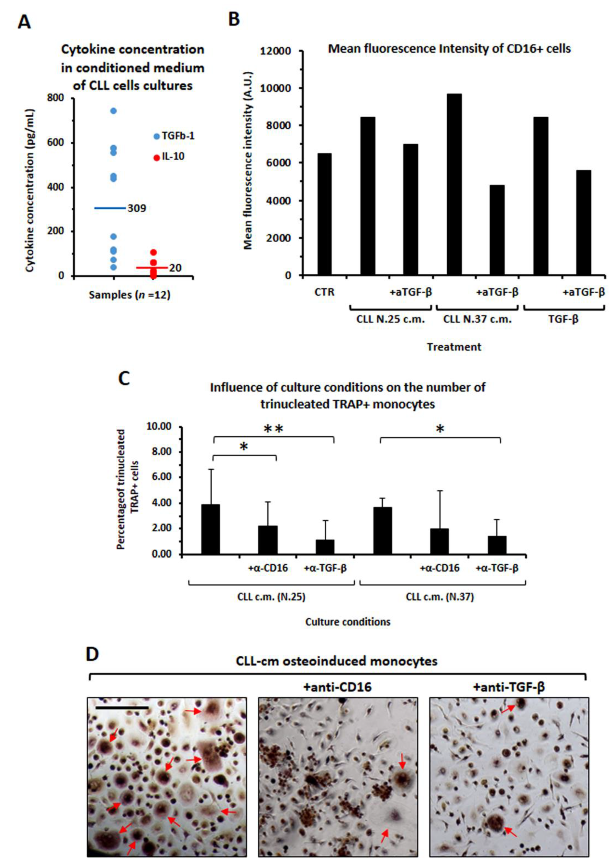 Cancers 14 05979 g007