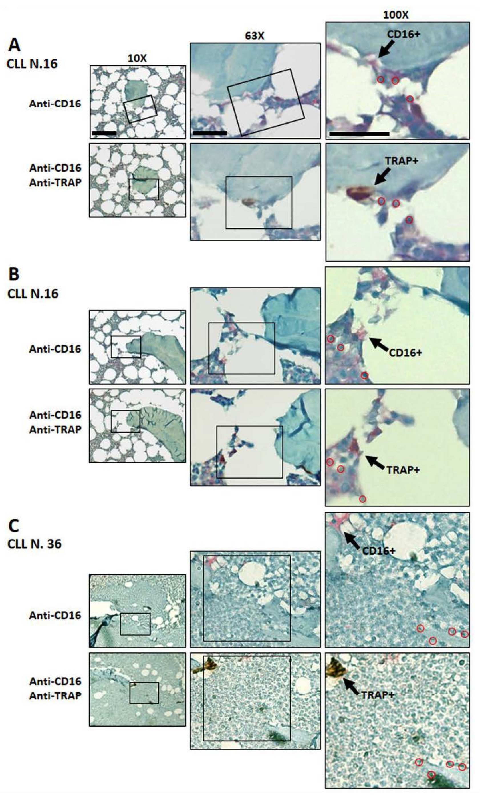 Cancers 14 05979 g008