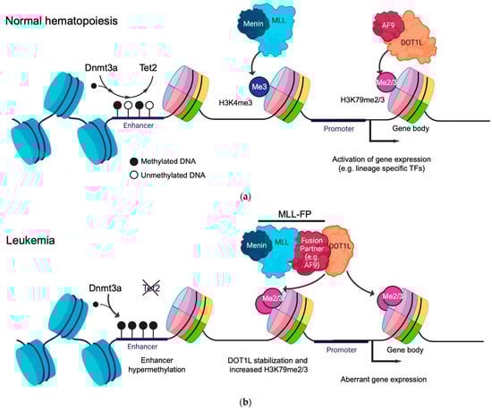 Cancers 14 05989 g001