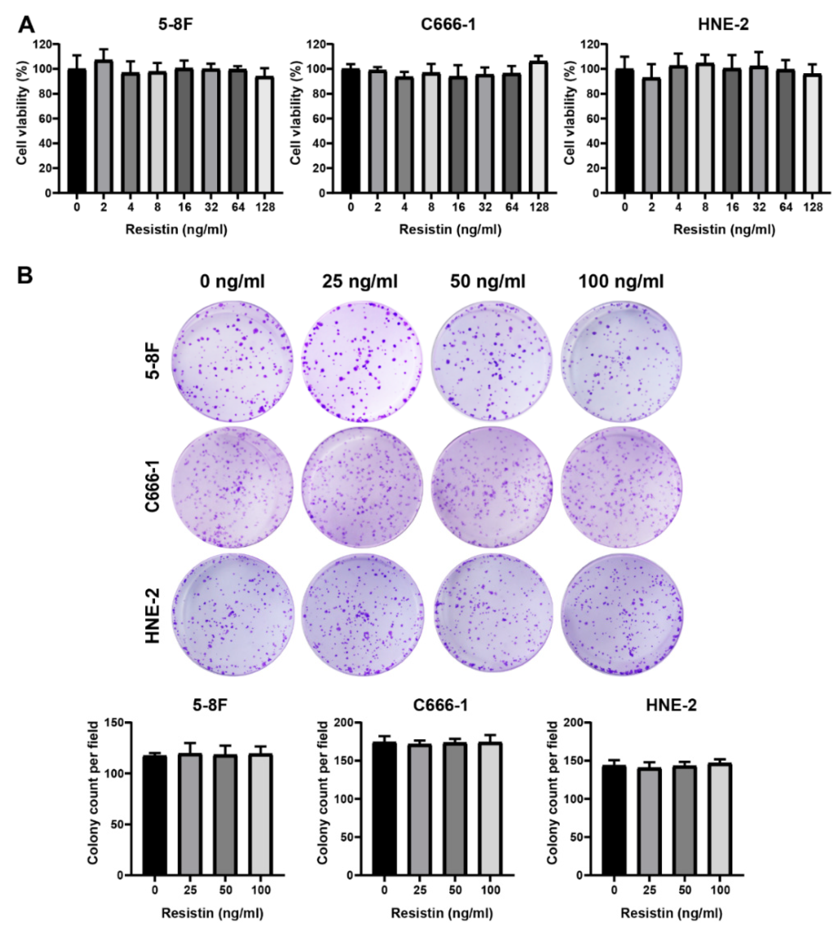 Cancers 14 06003 g001 Cancers 14 06003 g001