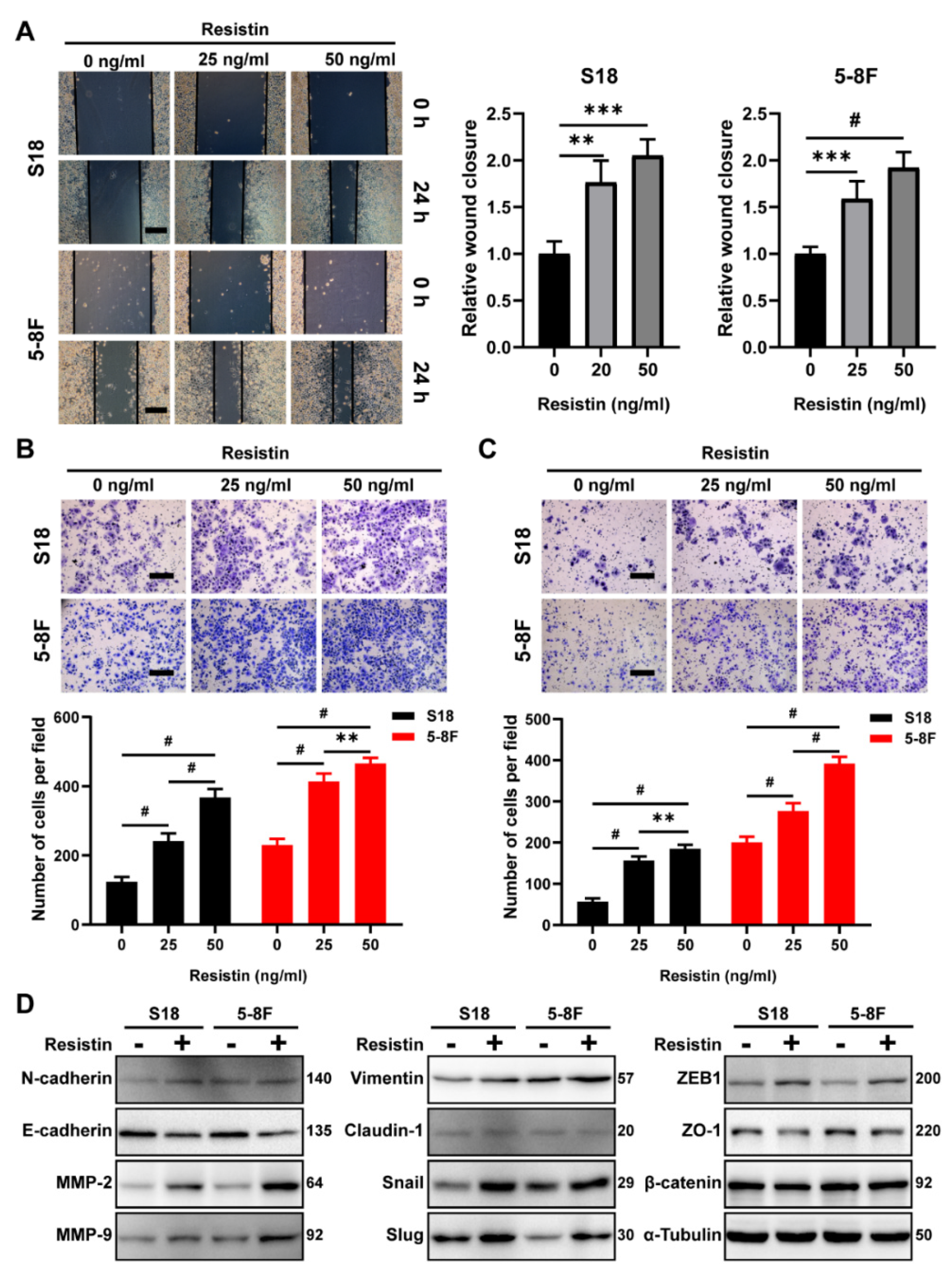 Cancers 14 06003 g002 Cancers 14 06003 g002