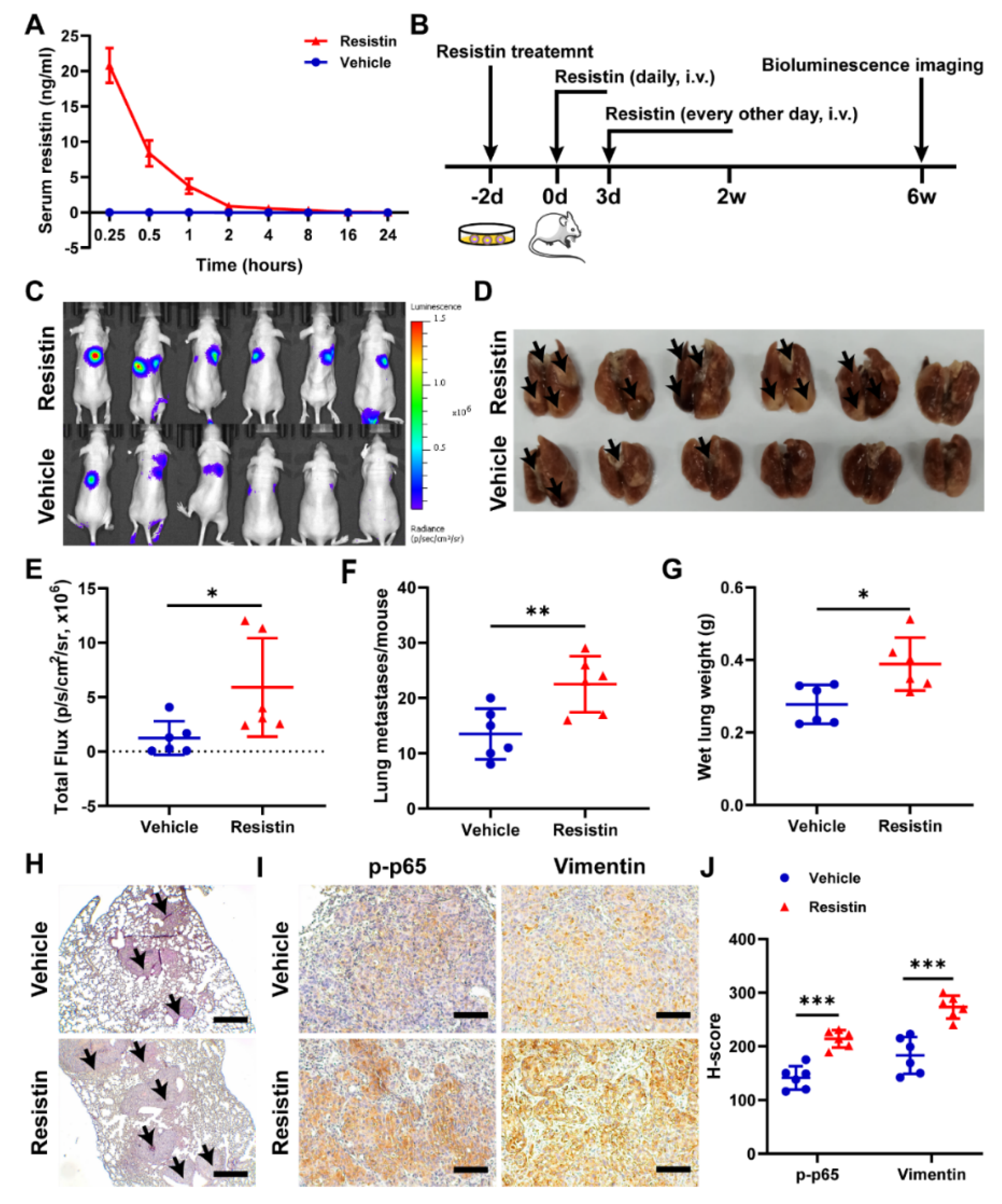 Cancers 14 06003 g007 Cancers 14 06003 g007