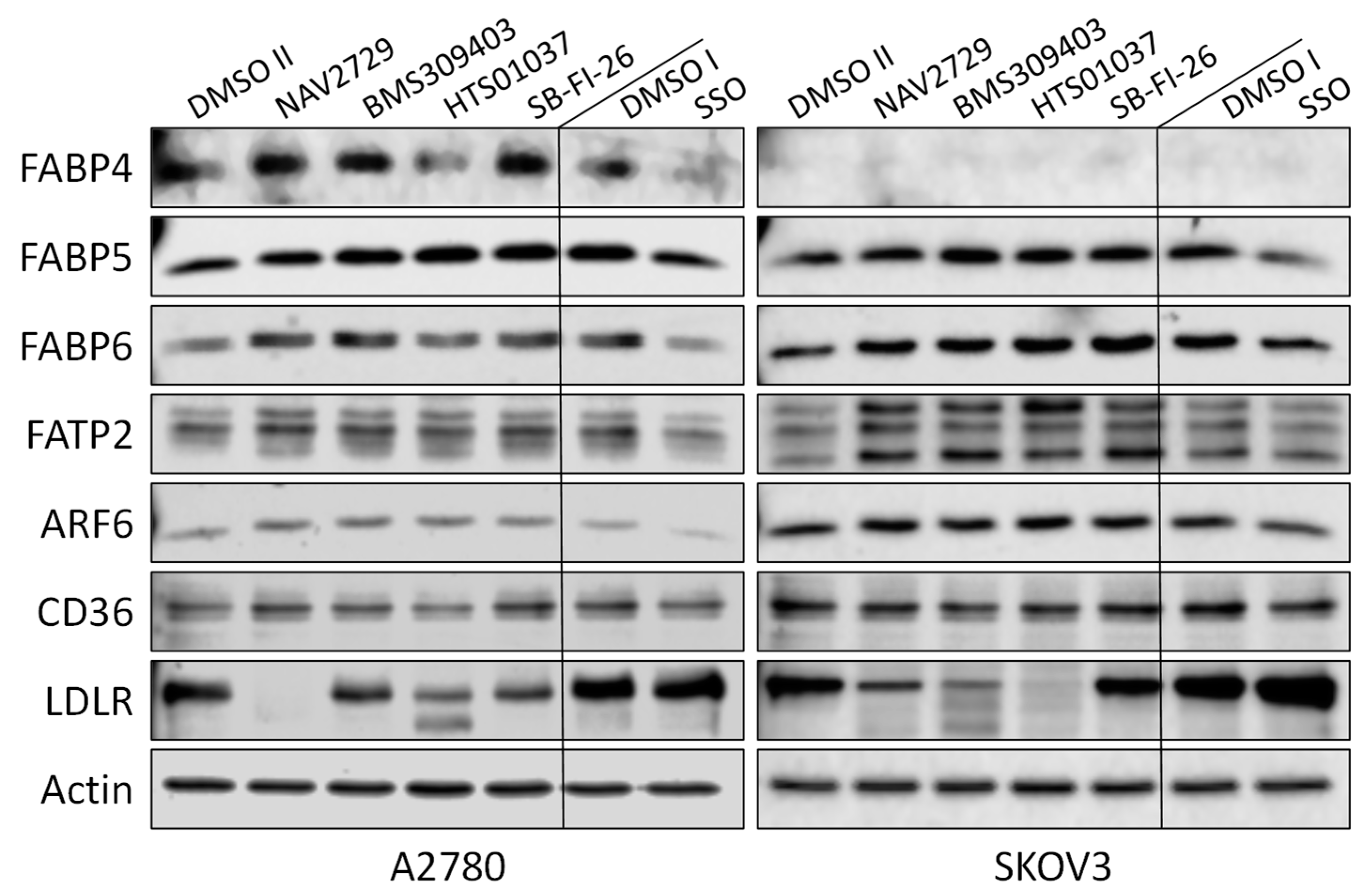 Cancers 14 06004 g002 Cancers 14 06004 g002