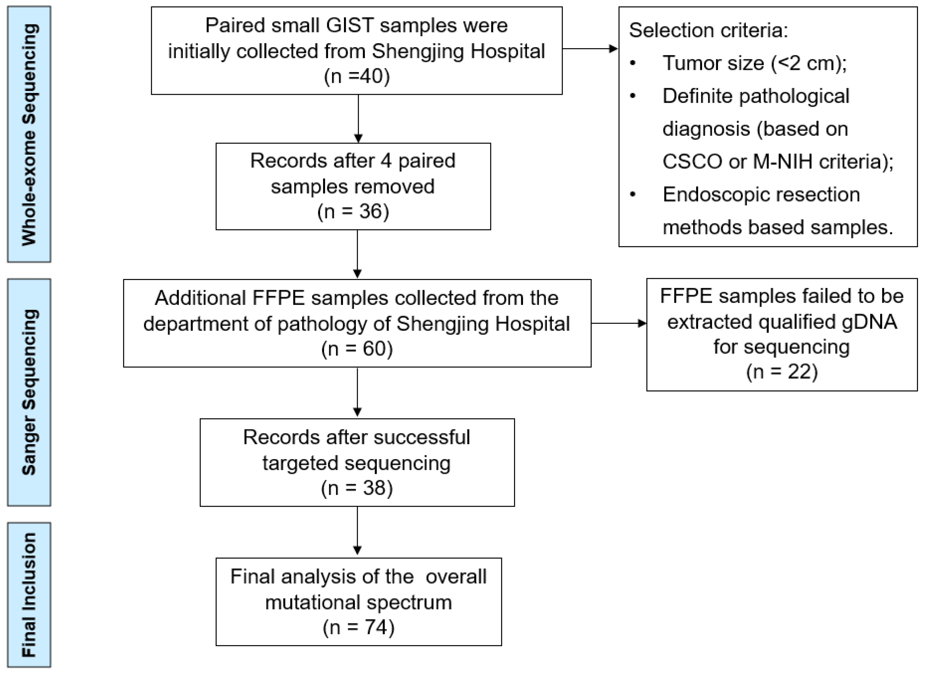 Cancers 14 06008 g001