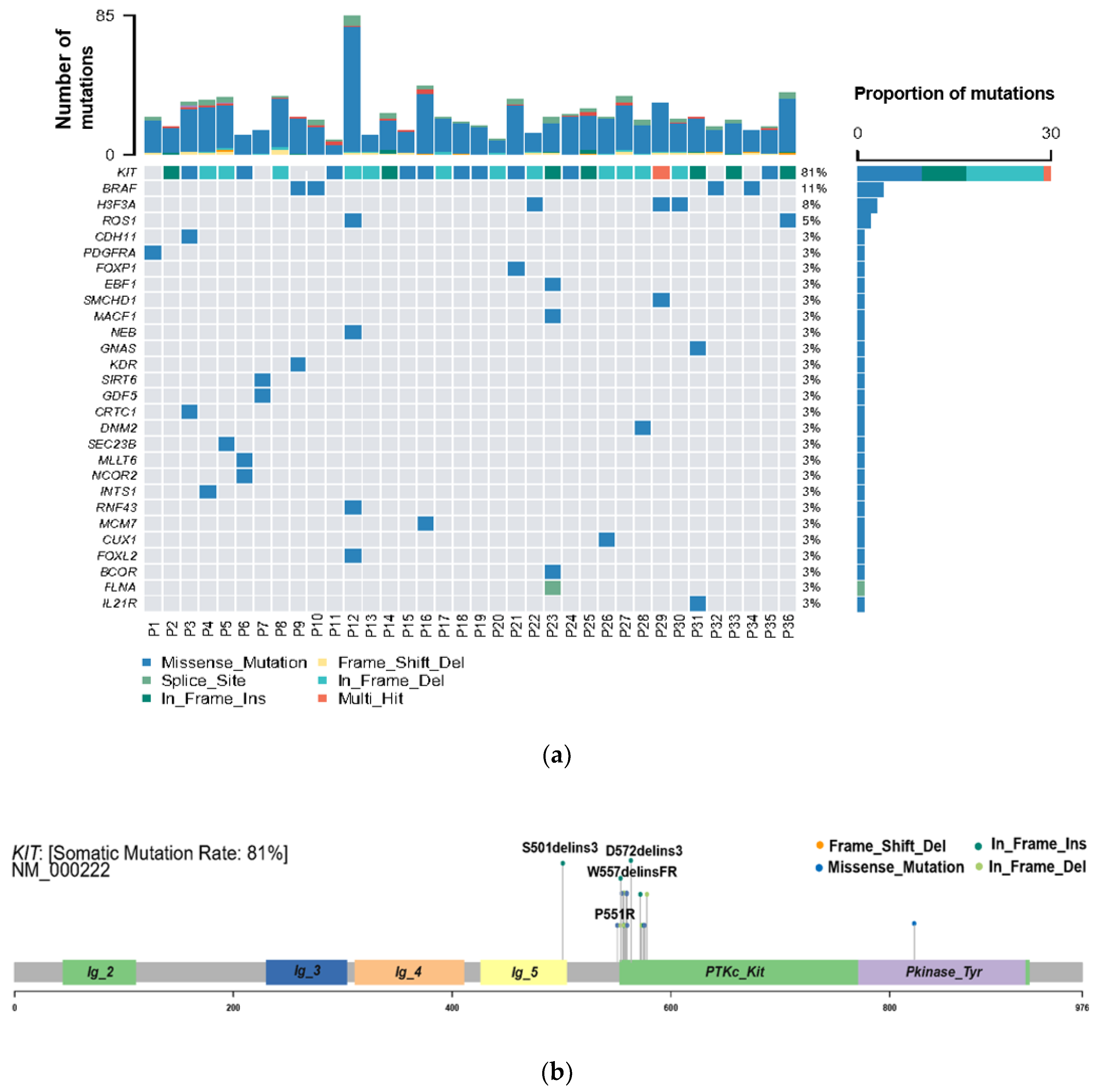 Cancers 14 06008 g002