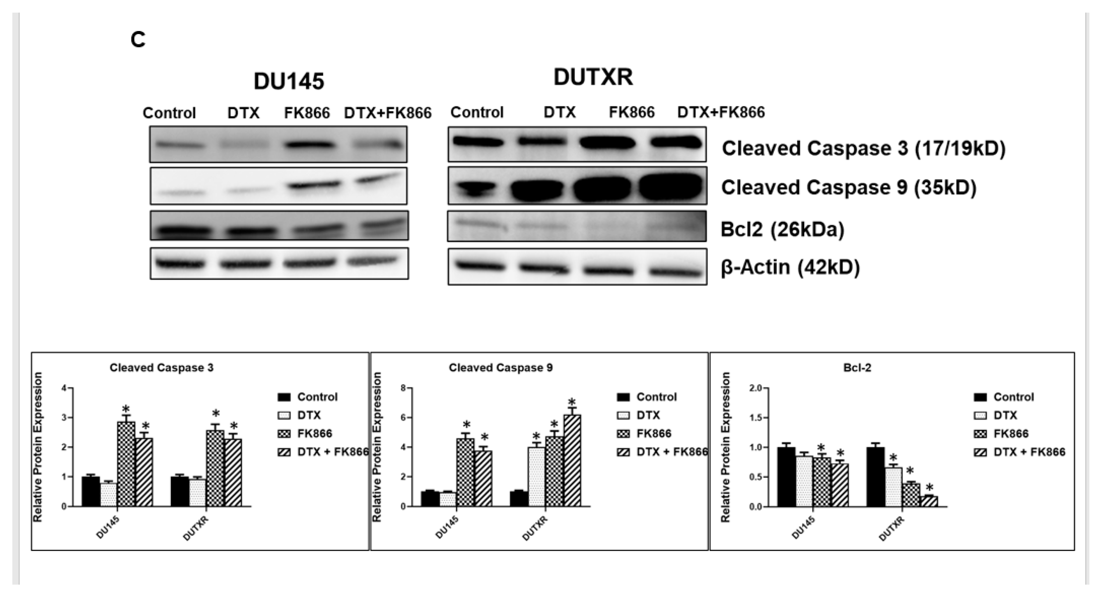 Cancers 14 06009 g004b Cancers 14 06009 g004b