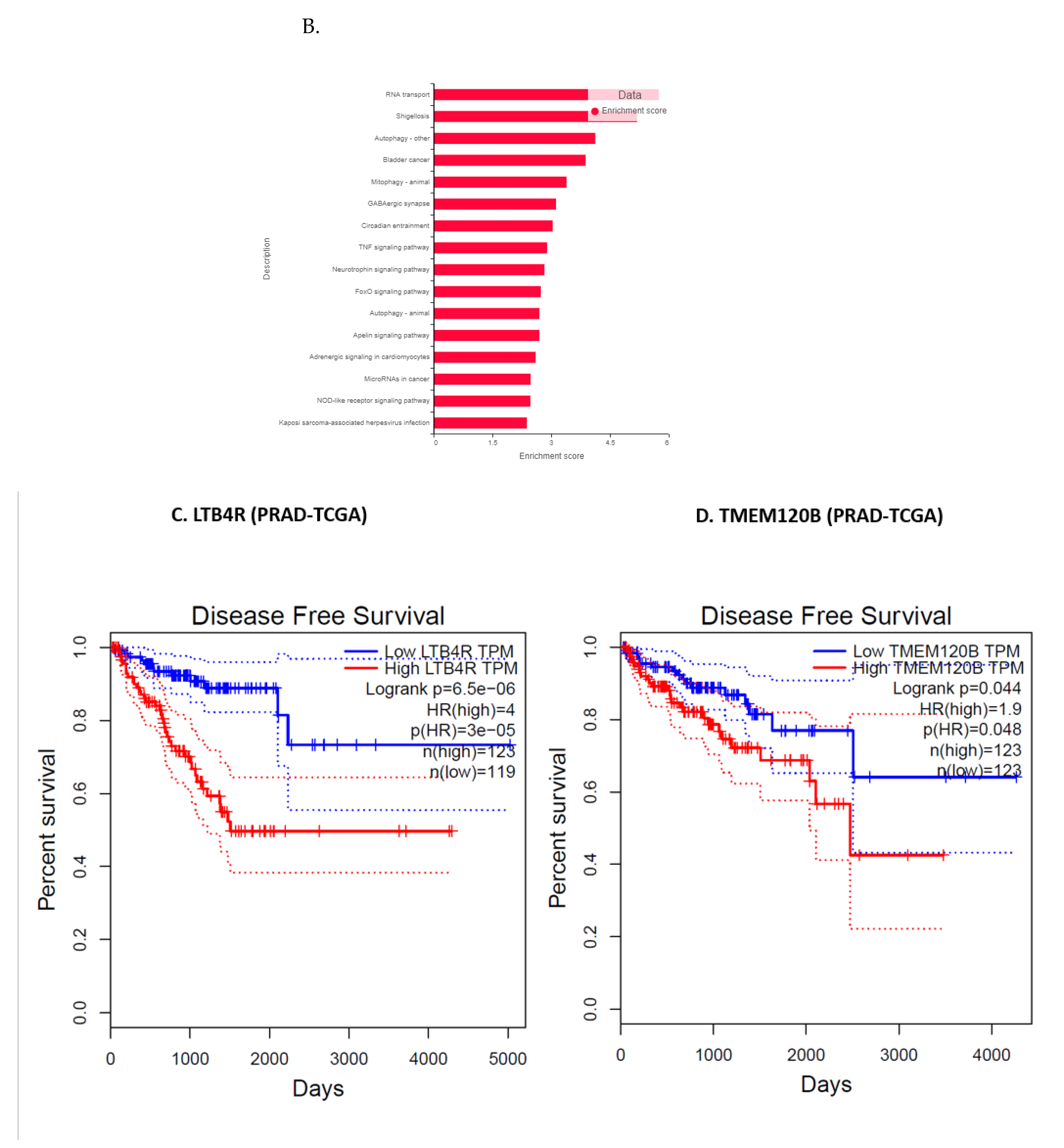 Cancers 14 06009 g010b Cancers 14 06009 g010b