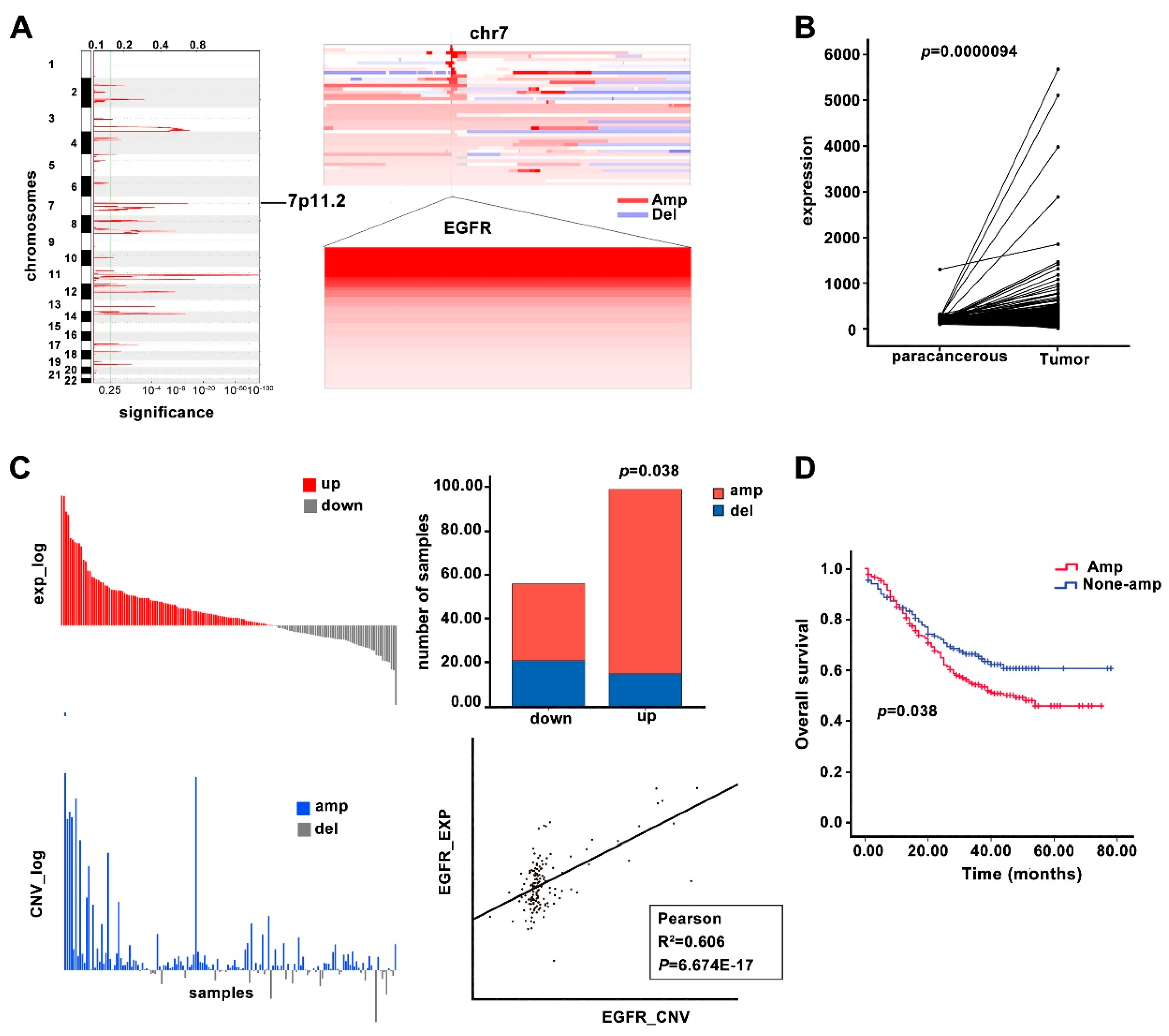 Cancers 14 06021 g001